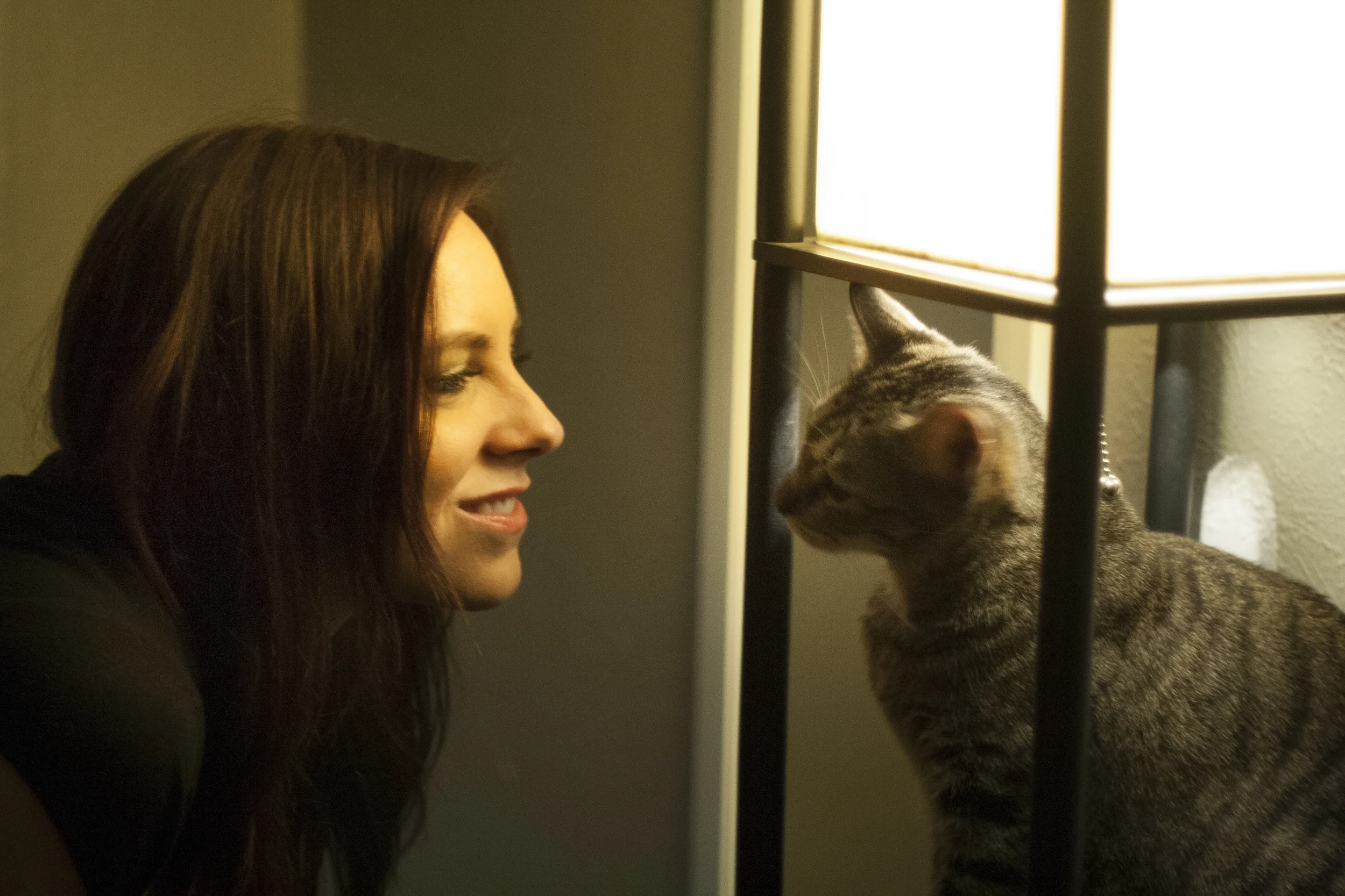 Catherine Cat Rabbit 01.jpg