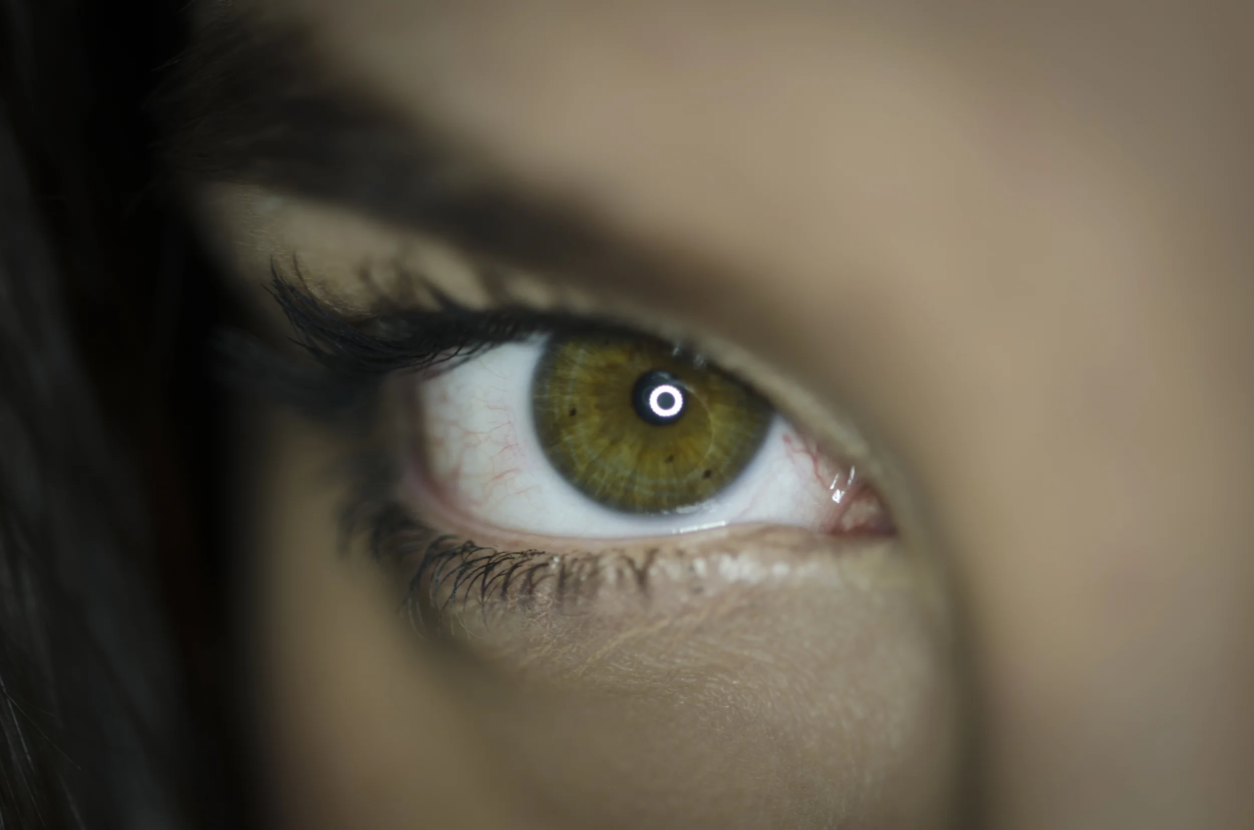 Catherine Eye Front Lashes.jpg