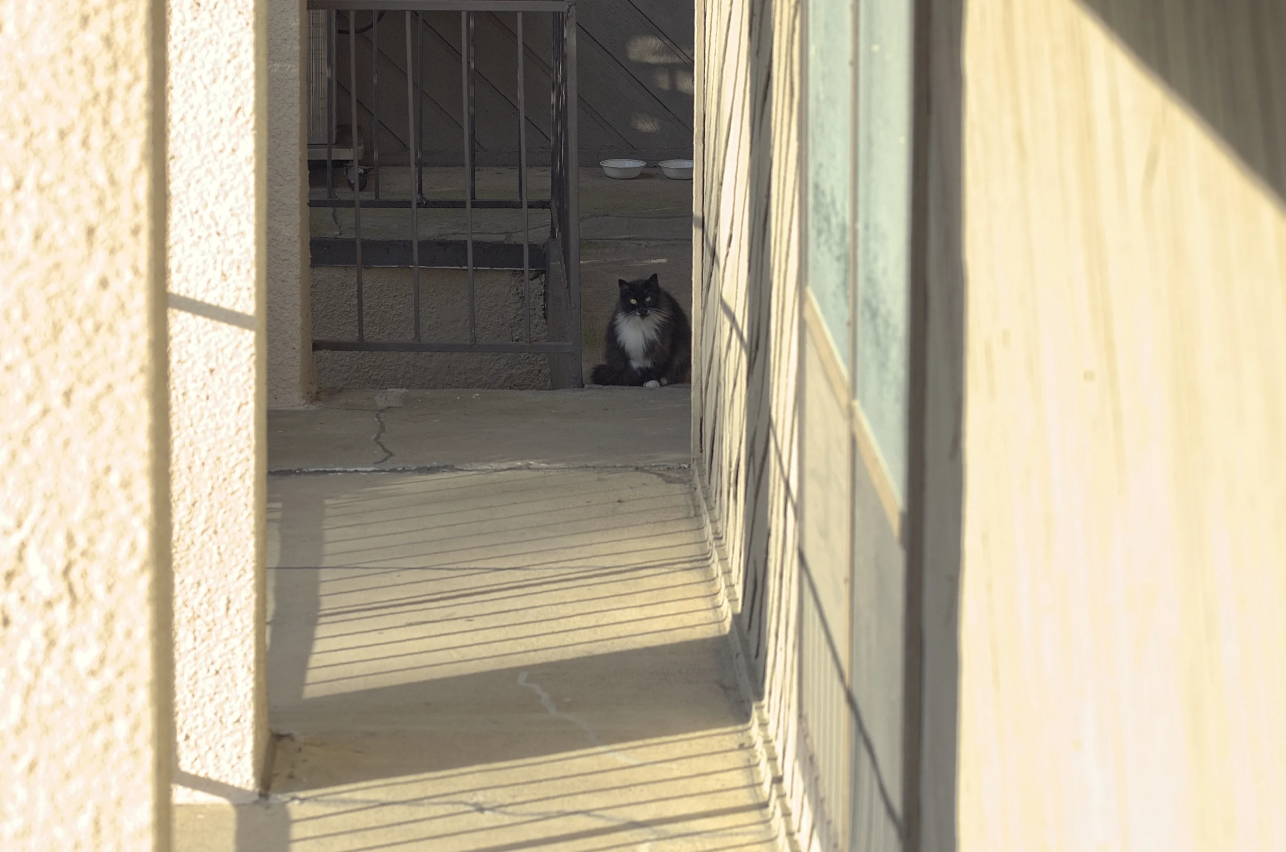 Down the hall Cat_PE-Commercial-CrispCool53.jpg