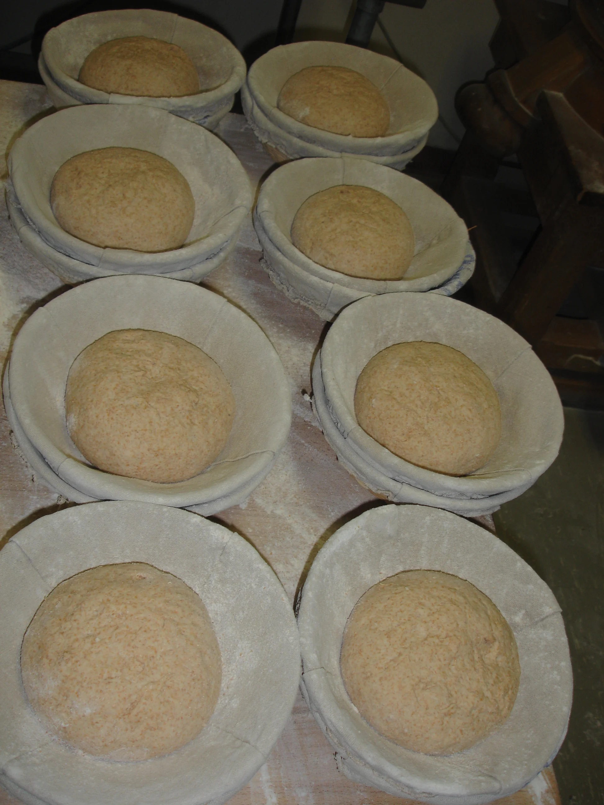 Whole Wheat Rounds