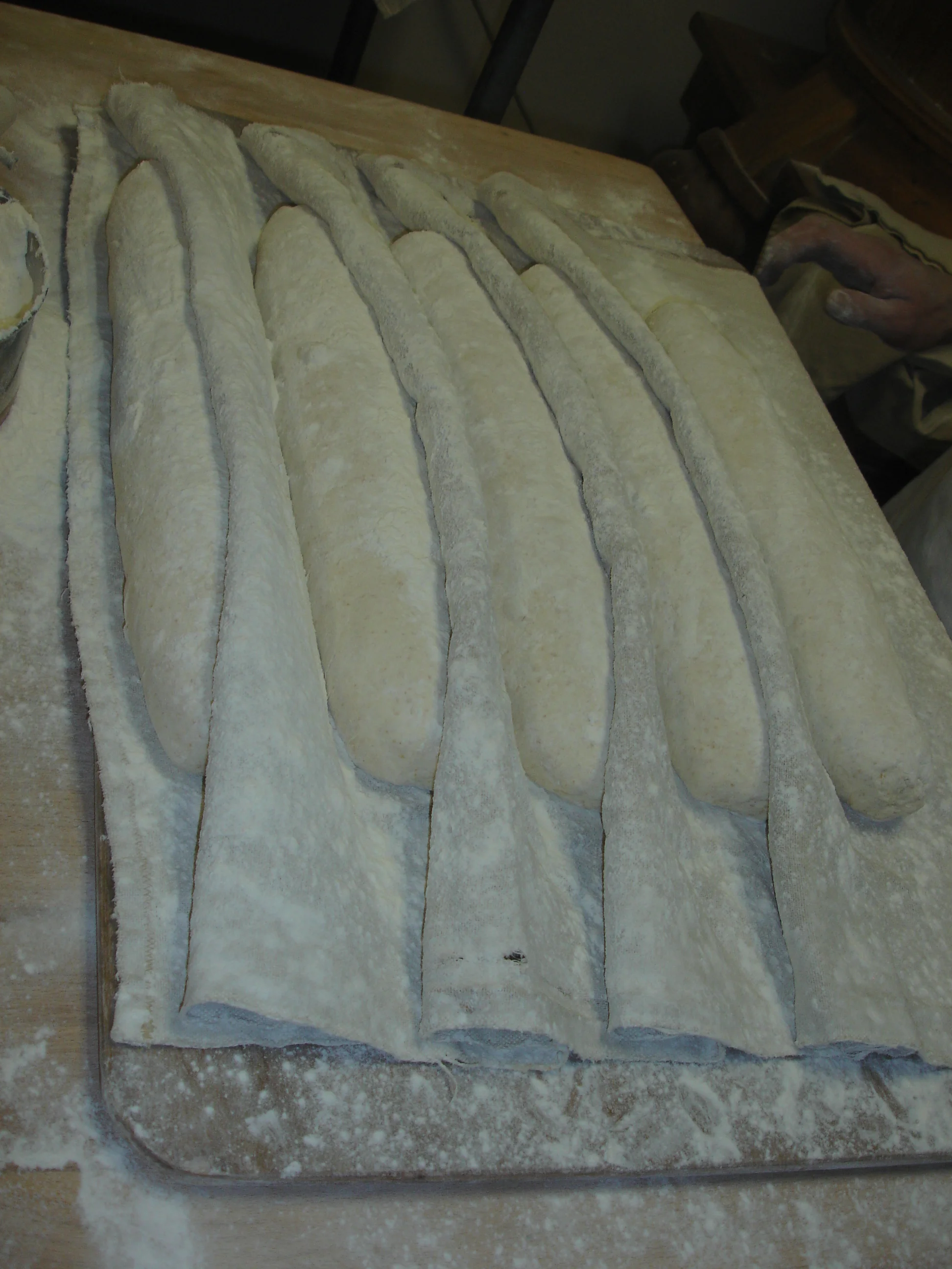 Baguettes Ready to Proof
