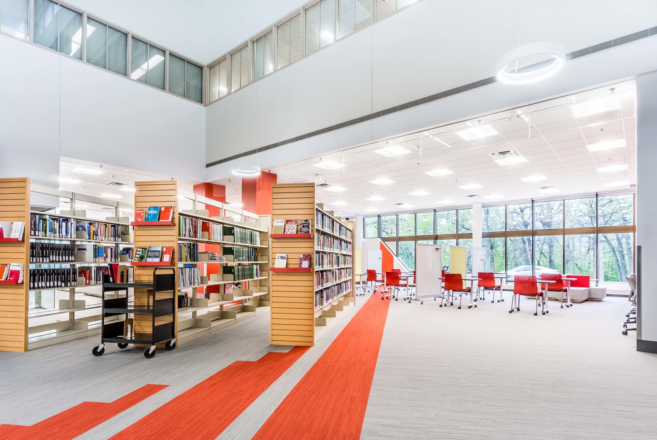 drake library mmp web 2017.jpg