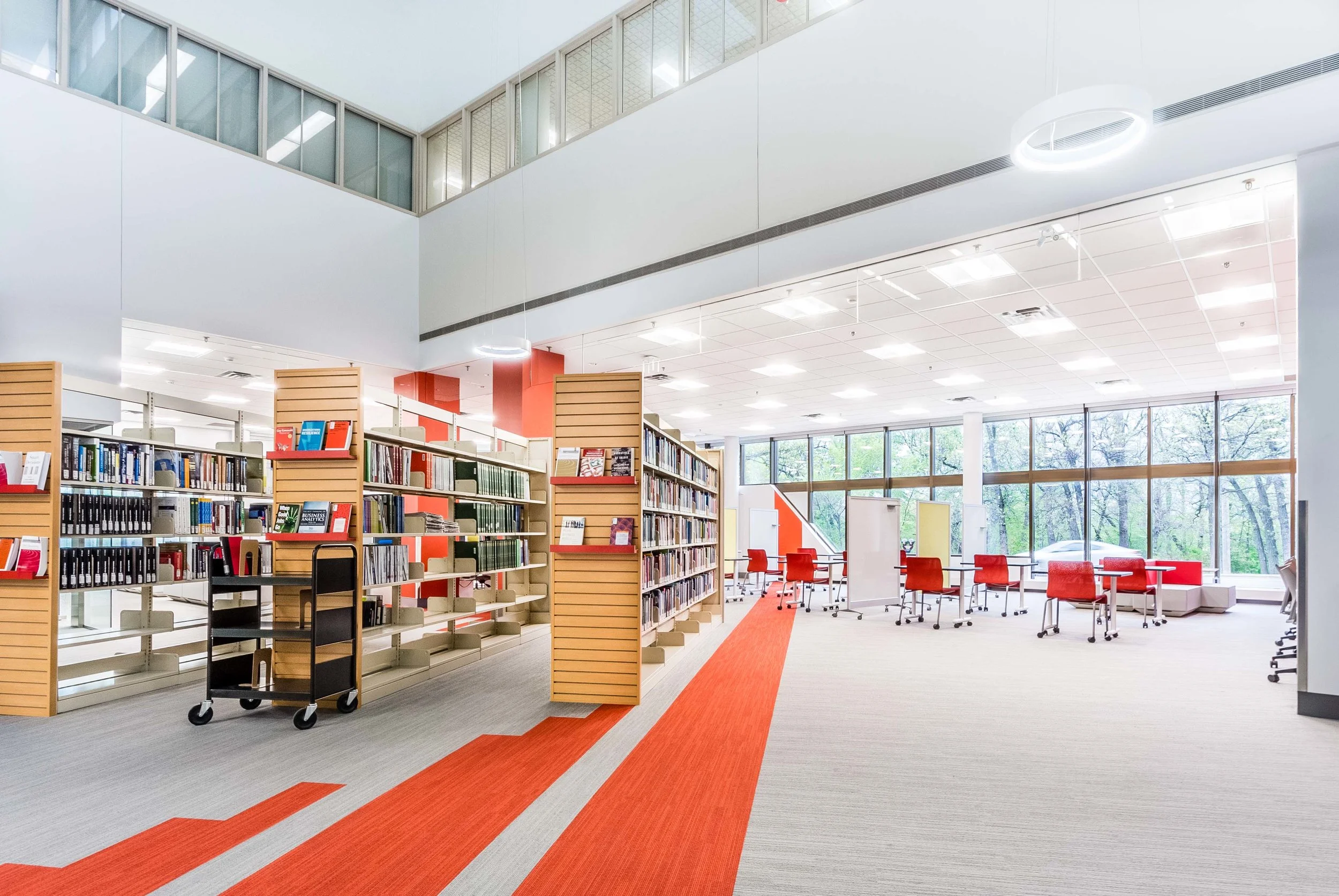 drake library mmp web 2017.jpg