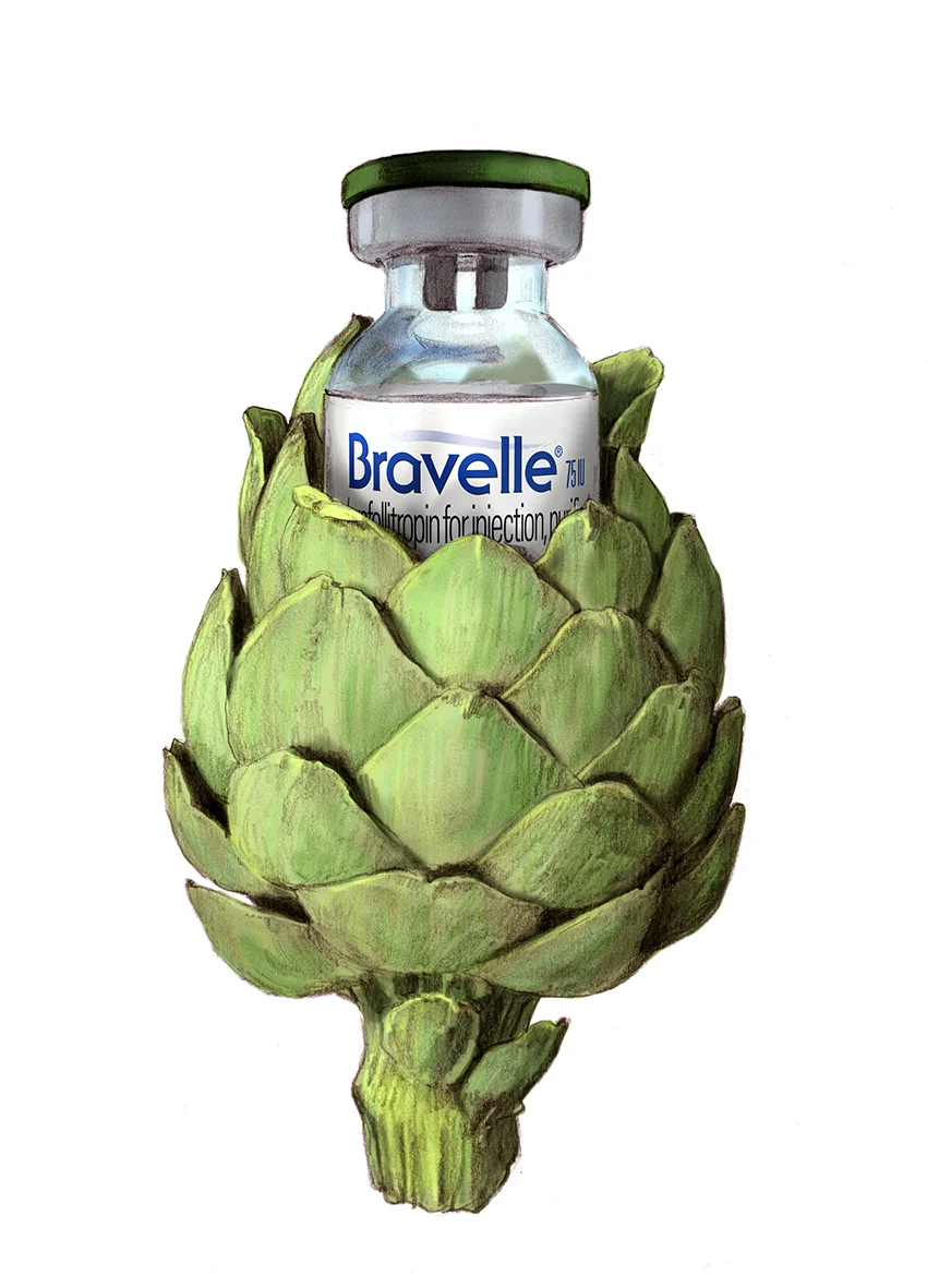 Artichoke_Bravelle.jpg