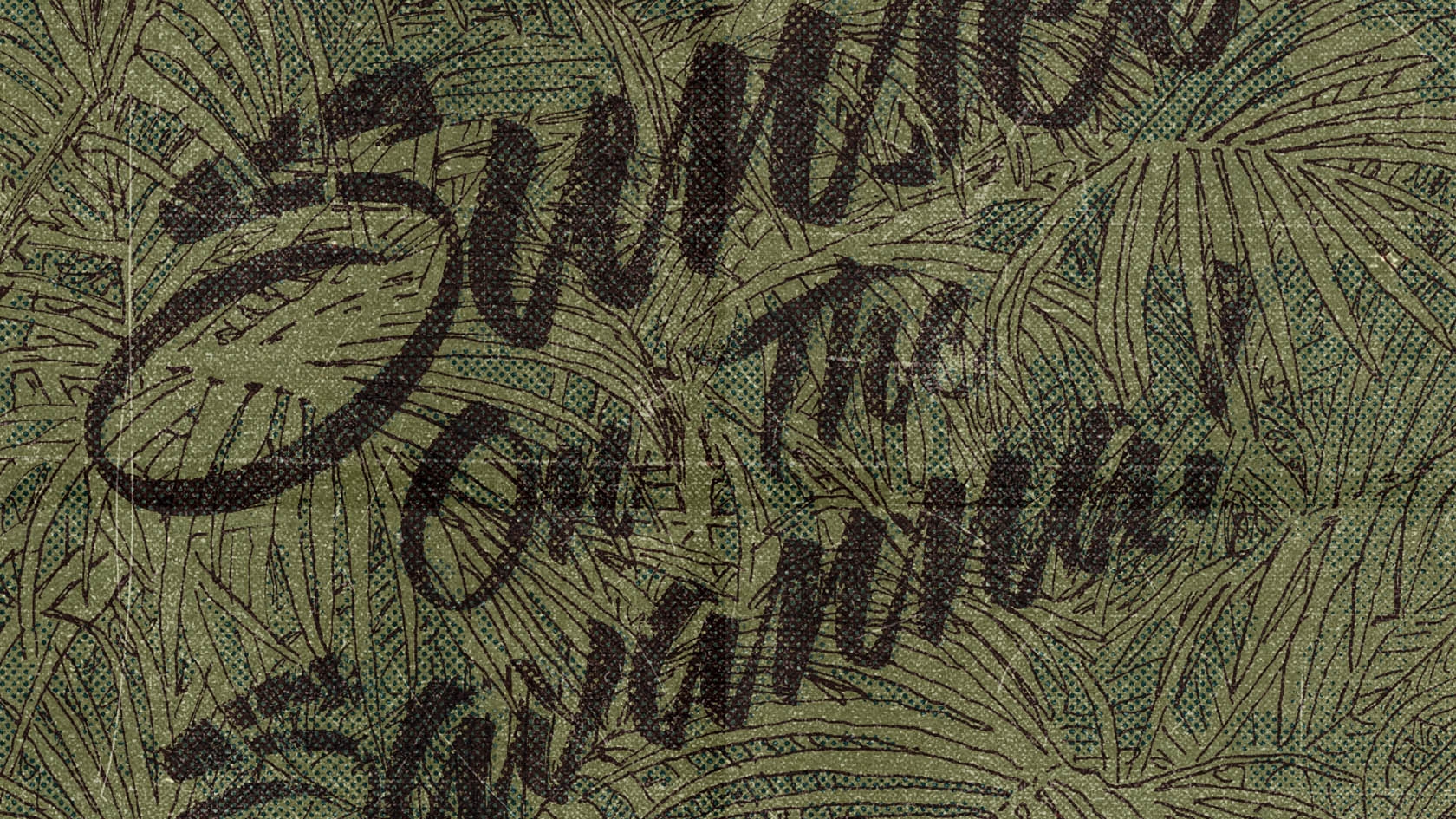 T&N_savannah_cover_lo.jpg