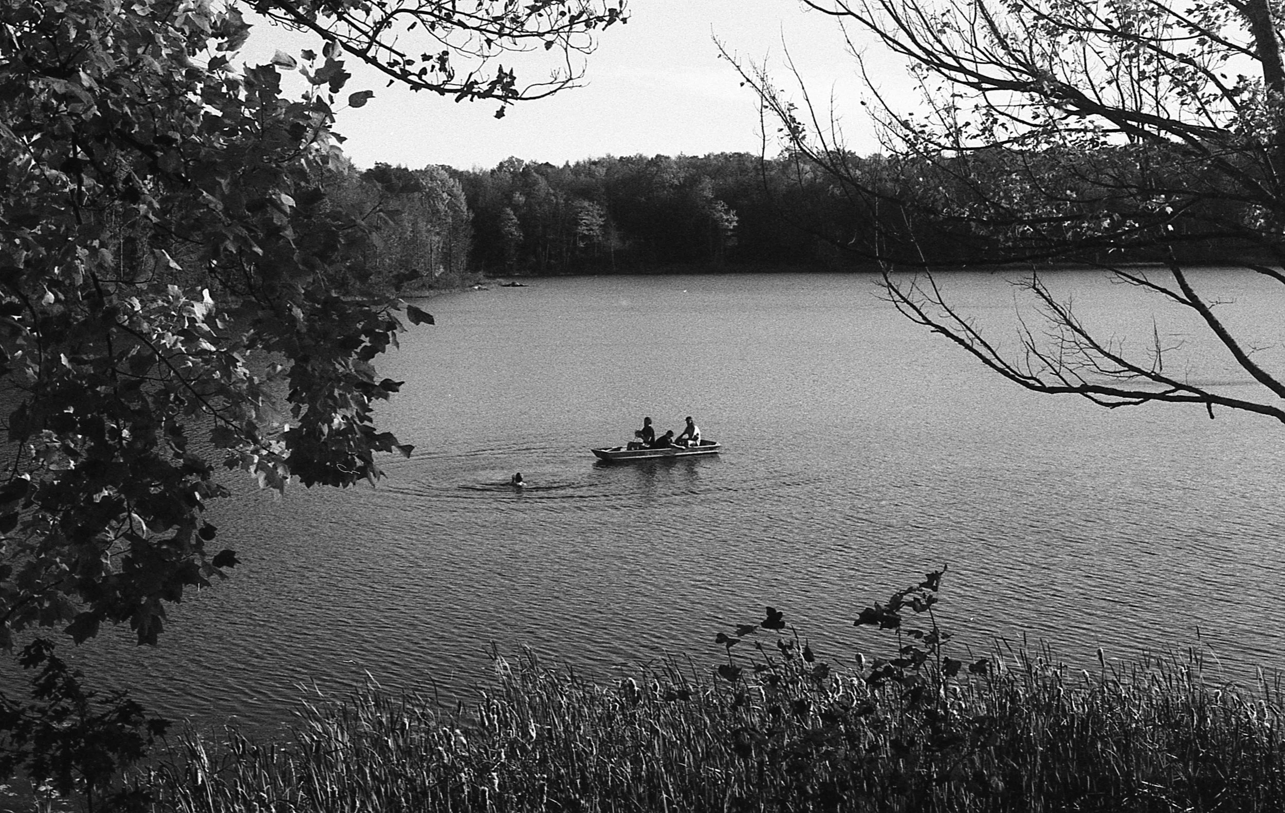 img223.jpg