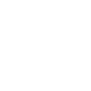 phone icon white.png