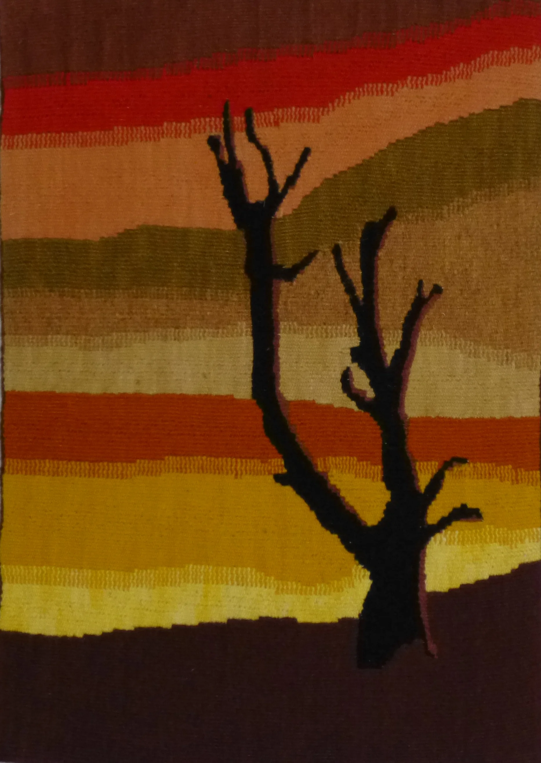 The Williams Tree, Williams Residence, Cedar Crest, New Mexico