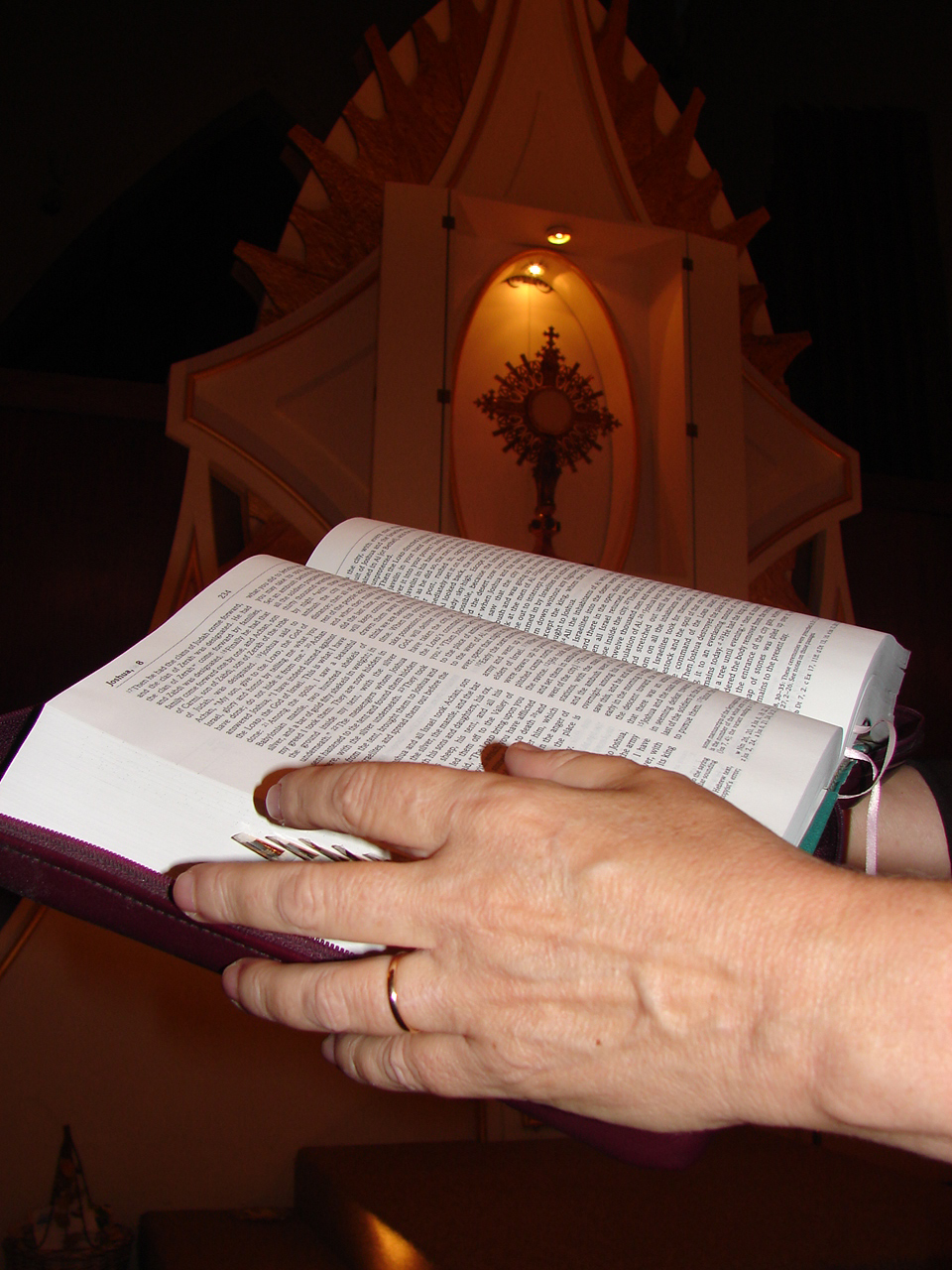 Lectio Divina during Adoration