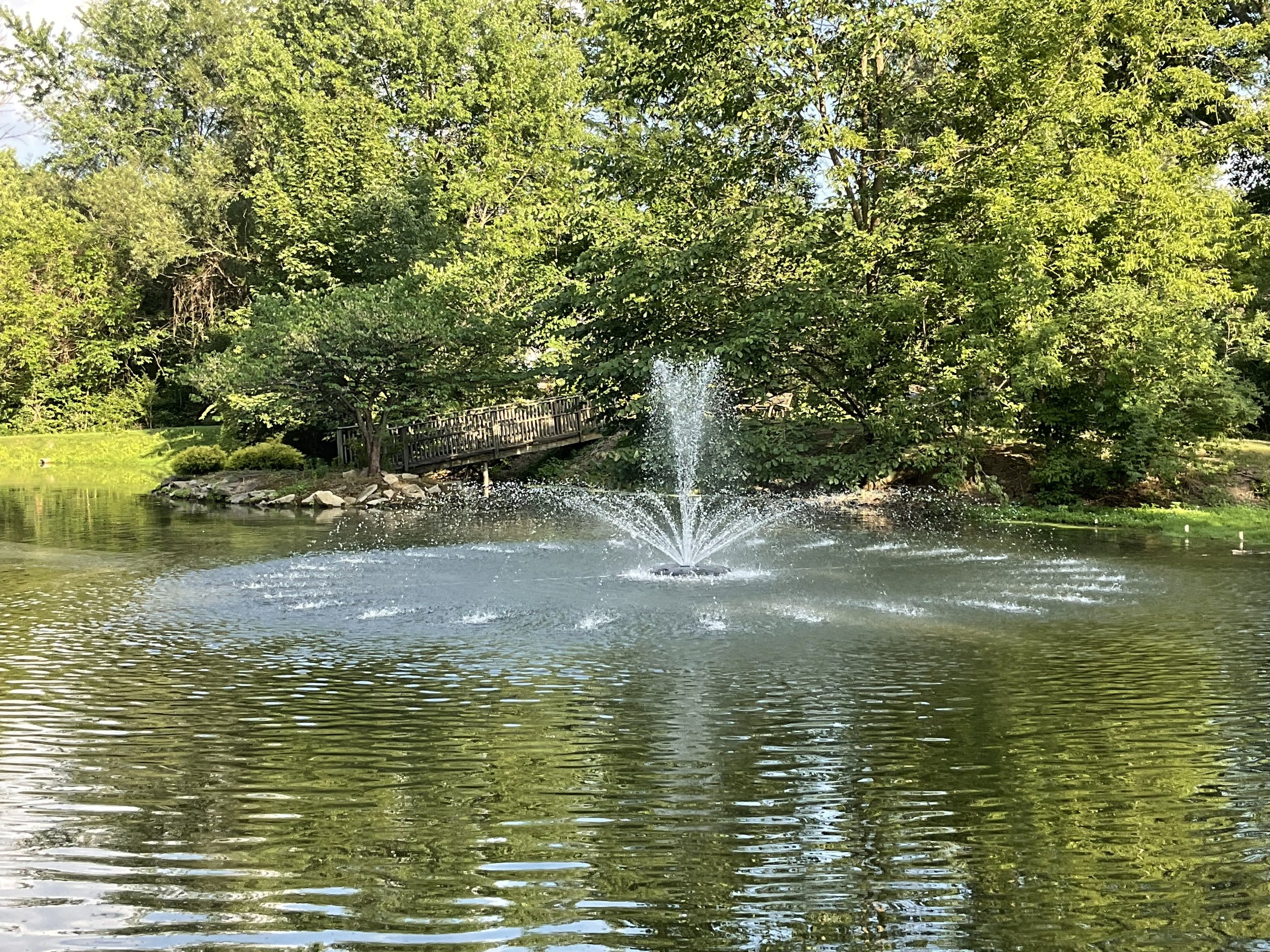 Our pond's fountain hard at work