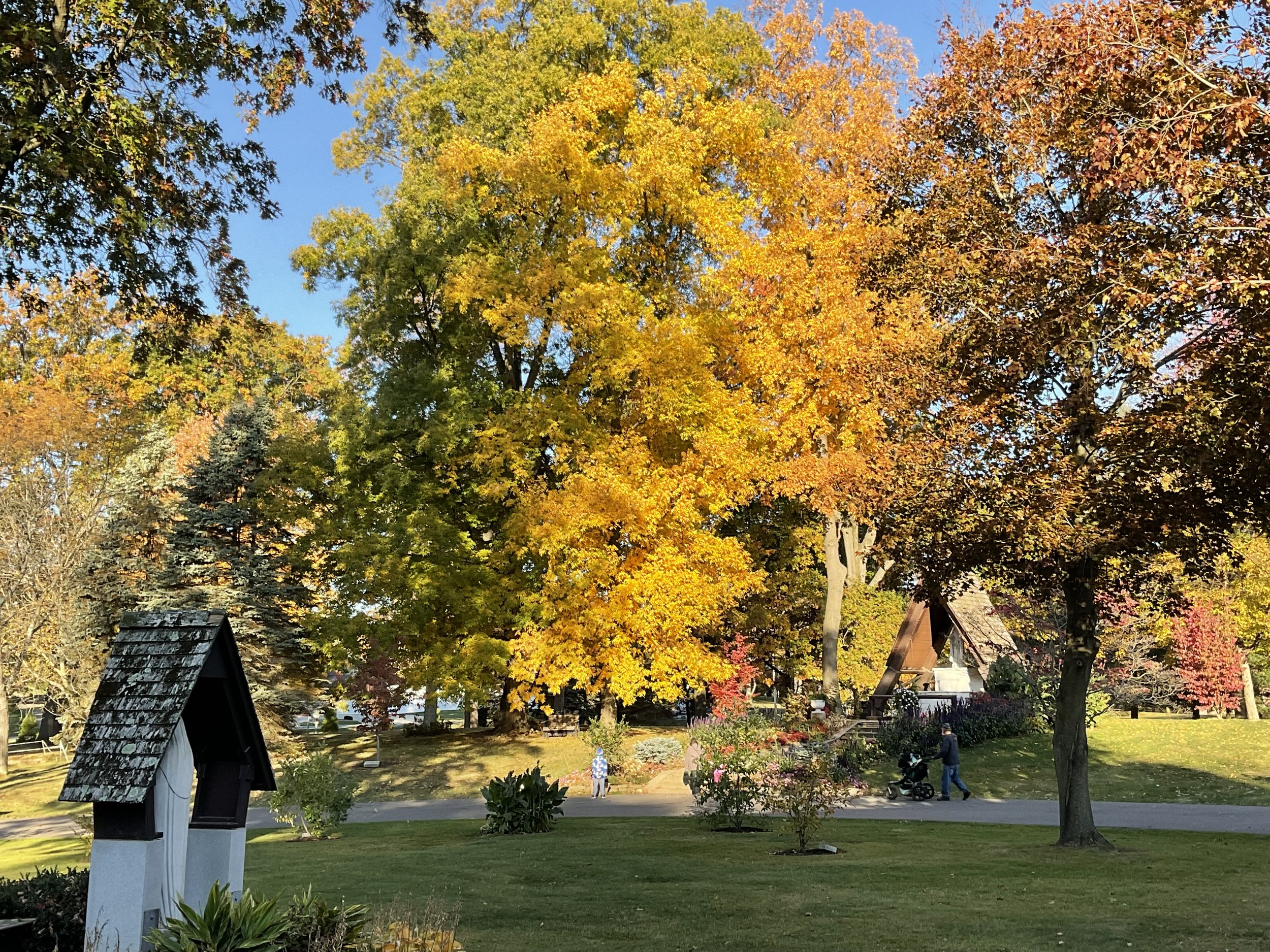 Looking out our Front Door