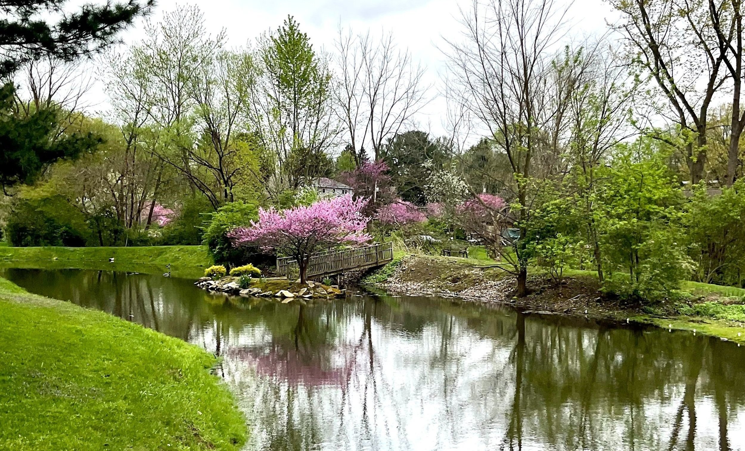 Introducing our pond!--NO FISHING PLEASE unless you are Sr. Maria Teresina