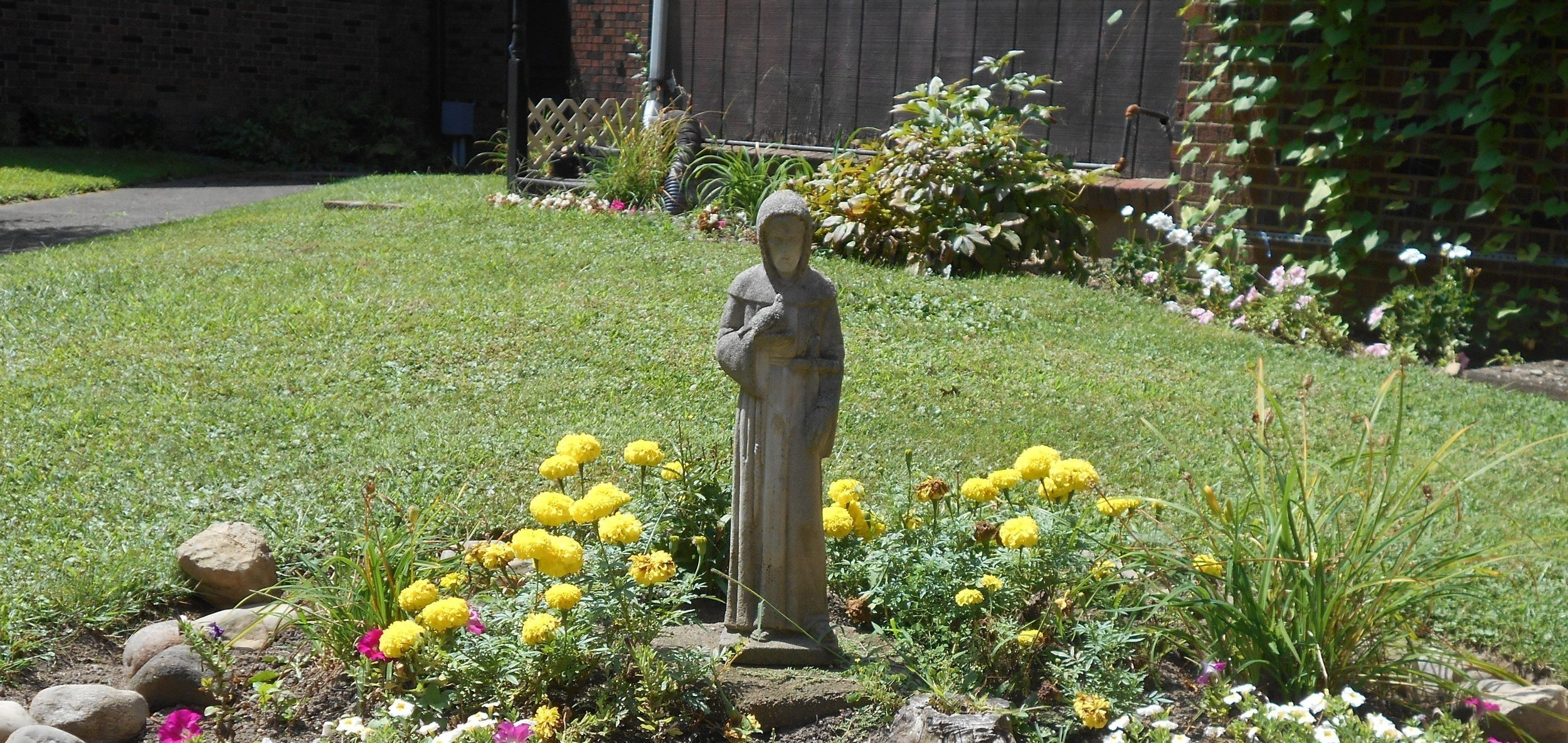 Our St Francis in our courtyard