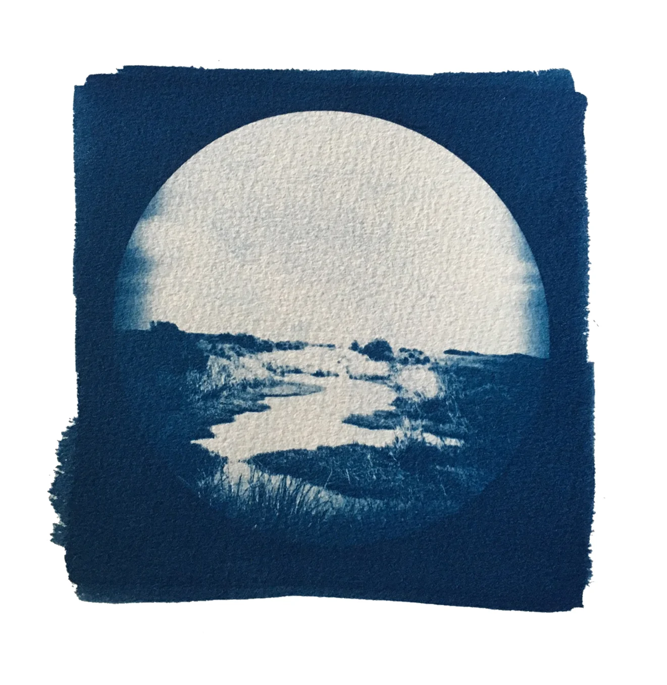 TITLE / Partner With the Sun No. 6 MEDIUM / Cyanotype Print, Printed on 100% Cotton Paper SIZE / 7" x 7" PRICE / $200.00
