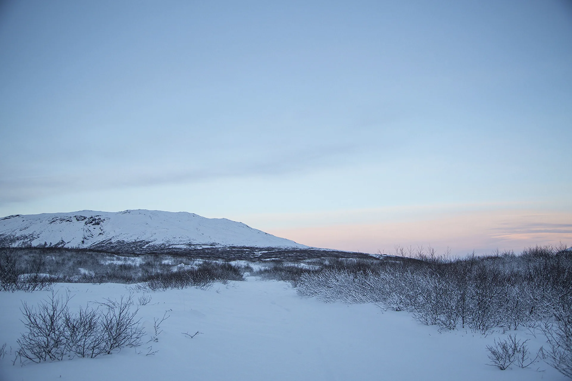 Iceland for web-20.jpg