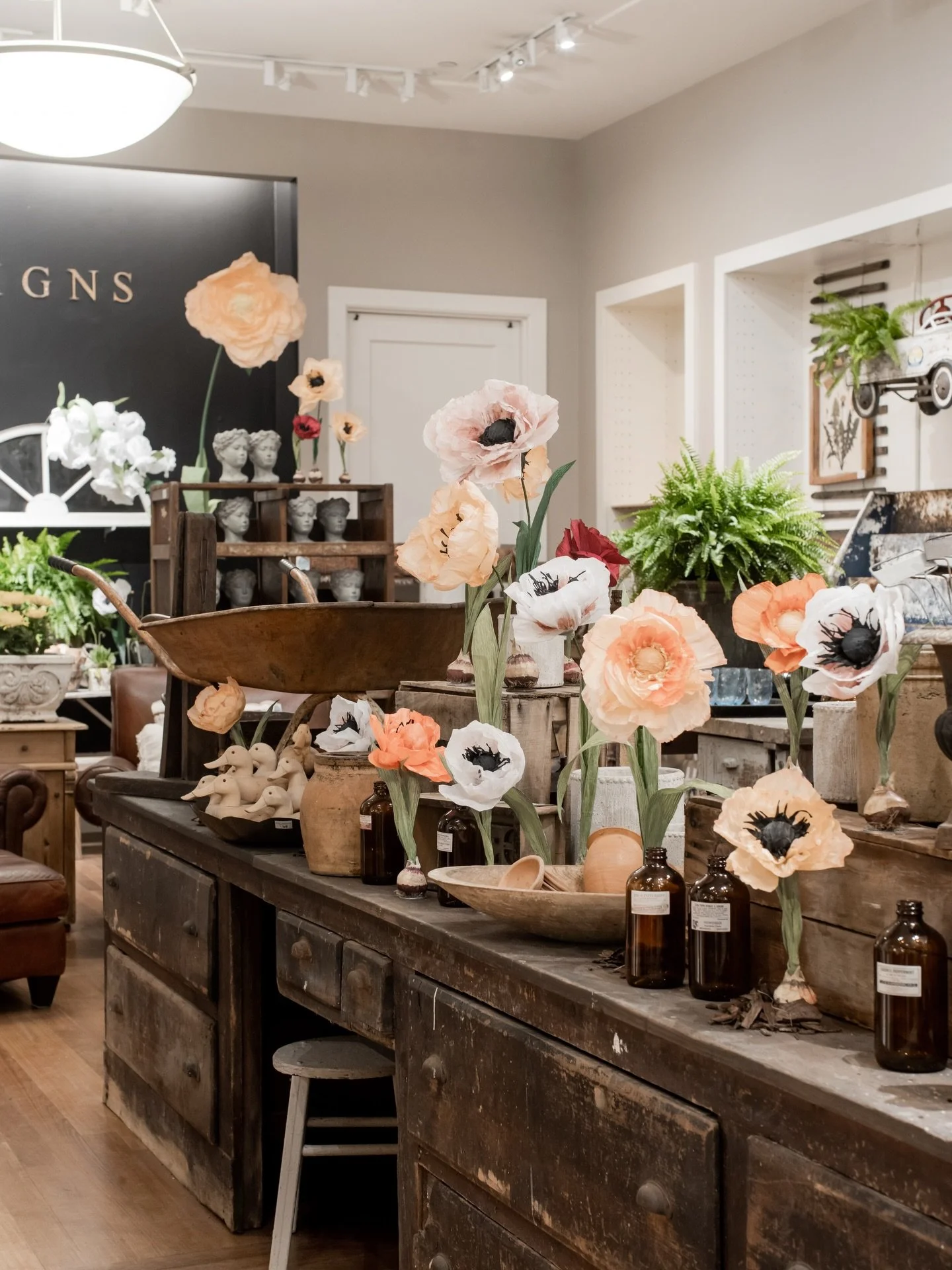 Spring is on its way&hellip; I know this because a bird has been singing for a mate all night outside our bedroom window for a week now! 🫠 #mothernature #birds #spring