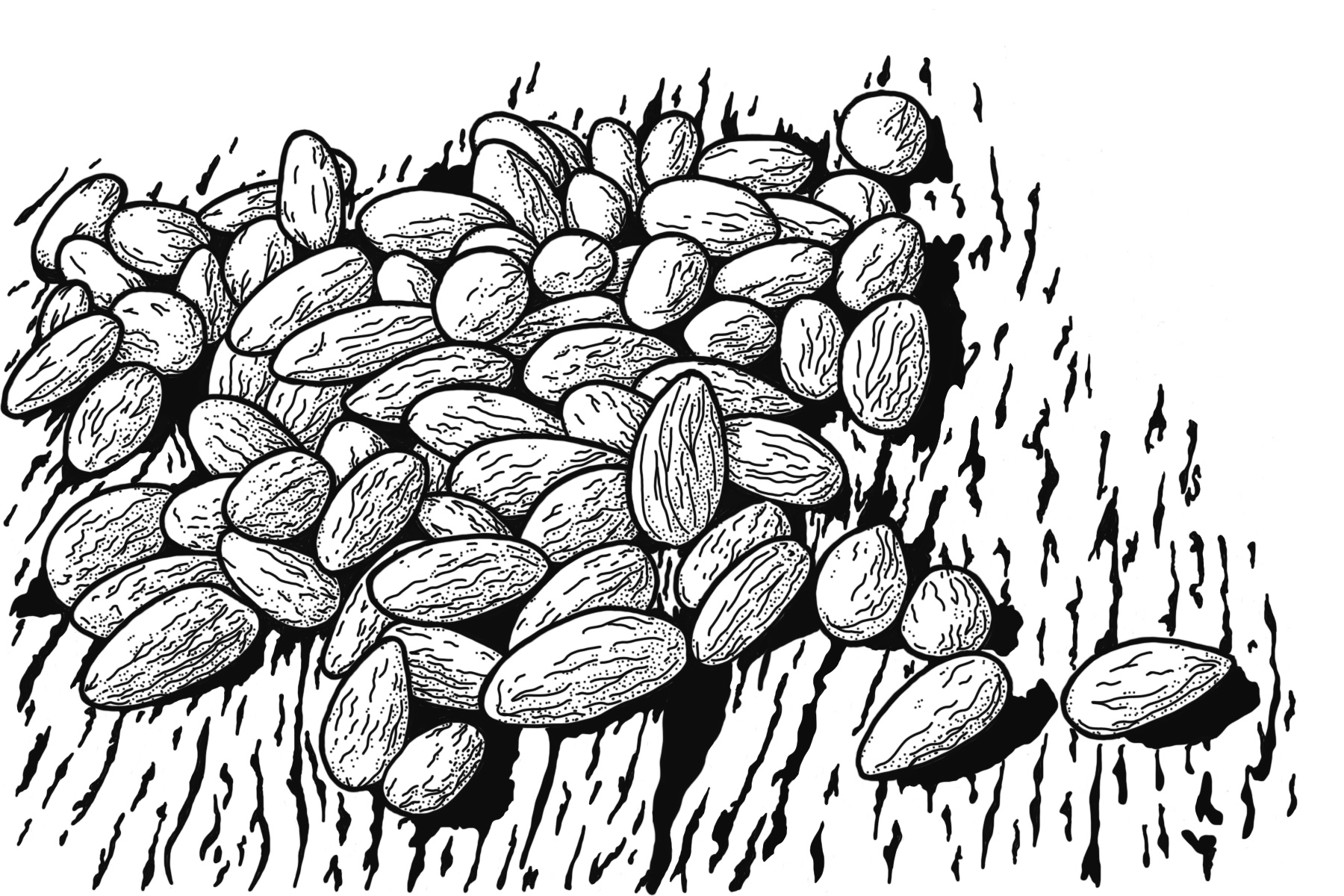 Ra Soap Ingredient: Almonds