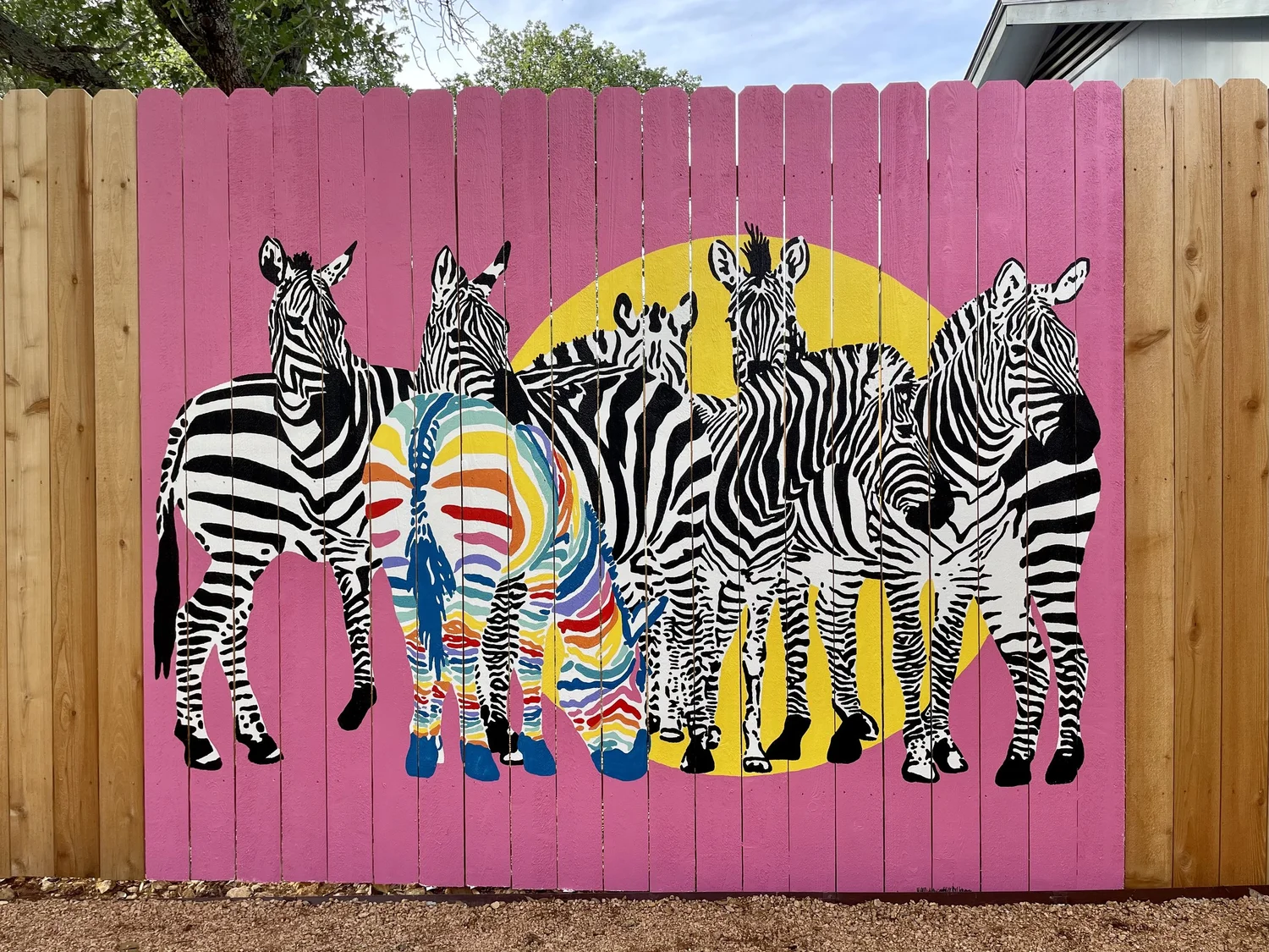Mural Artist and Illustrator, Austin, TX- Mural Designs — Avery O
