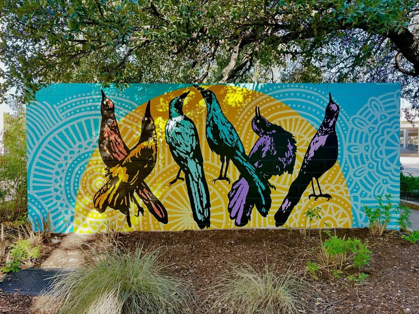 What a joy painting this mural for @roundrocktexas at the Round Rock Arts Fest last month. Music! Art! Beer! People! So many things I love all together. 
&bull;
#mural #muralart #muralartist #atxartist #atxmuralist #grackles #publicart #publicartist 
