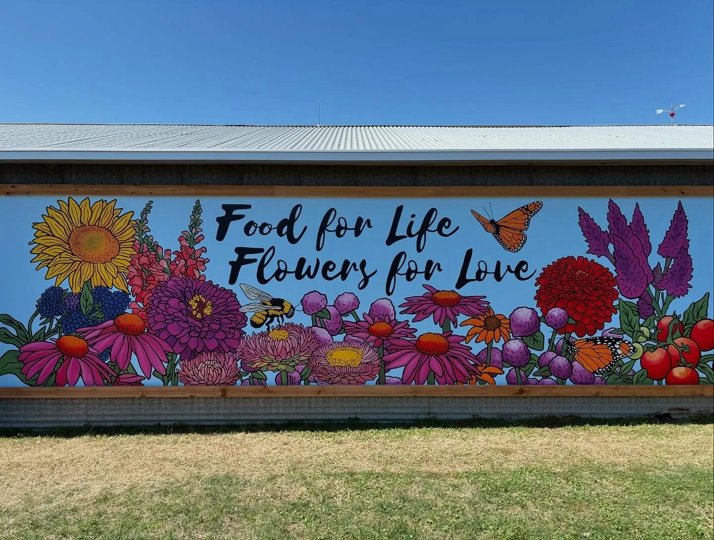 What a joy! I truly loved painting this one. Thank you @roznovfarmtx for inviting me out to help showcase the beauty of your amazing farm. I loved every minute of it!
&bull;
#mural #muralart #muralartist #texasmurals #roznovfarmtexas #averyodesign