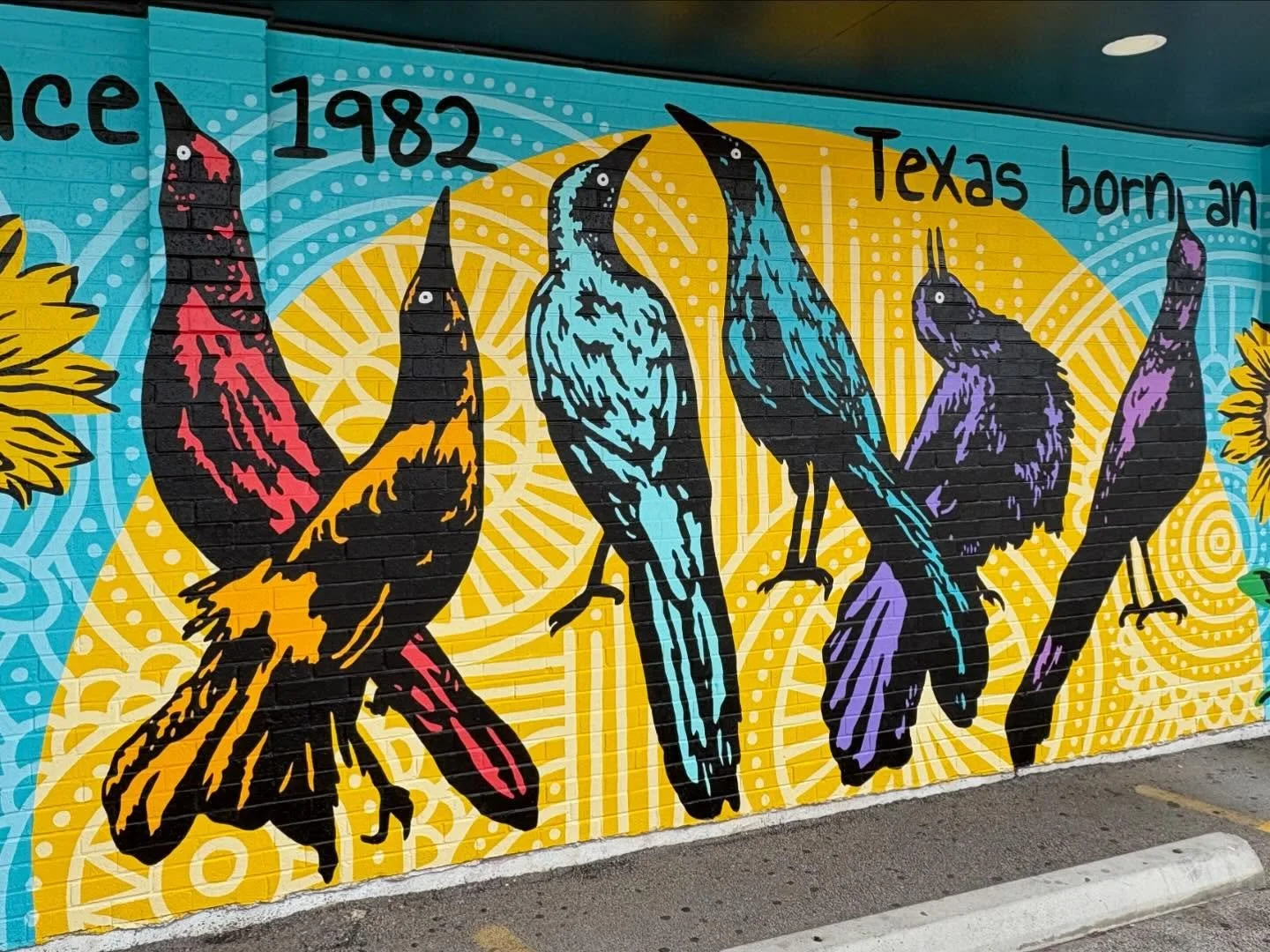 I had a great time painting this mural for @kolachefactory last week. It&rsquo;s been a slower than usual year so was really great to be painting again. 
It&rsquo;s a real test of patience and spirit to weather the slow times and also the extremely b