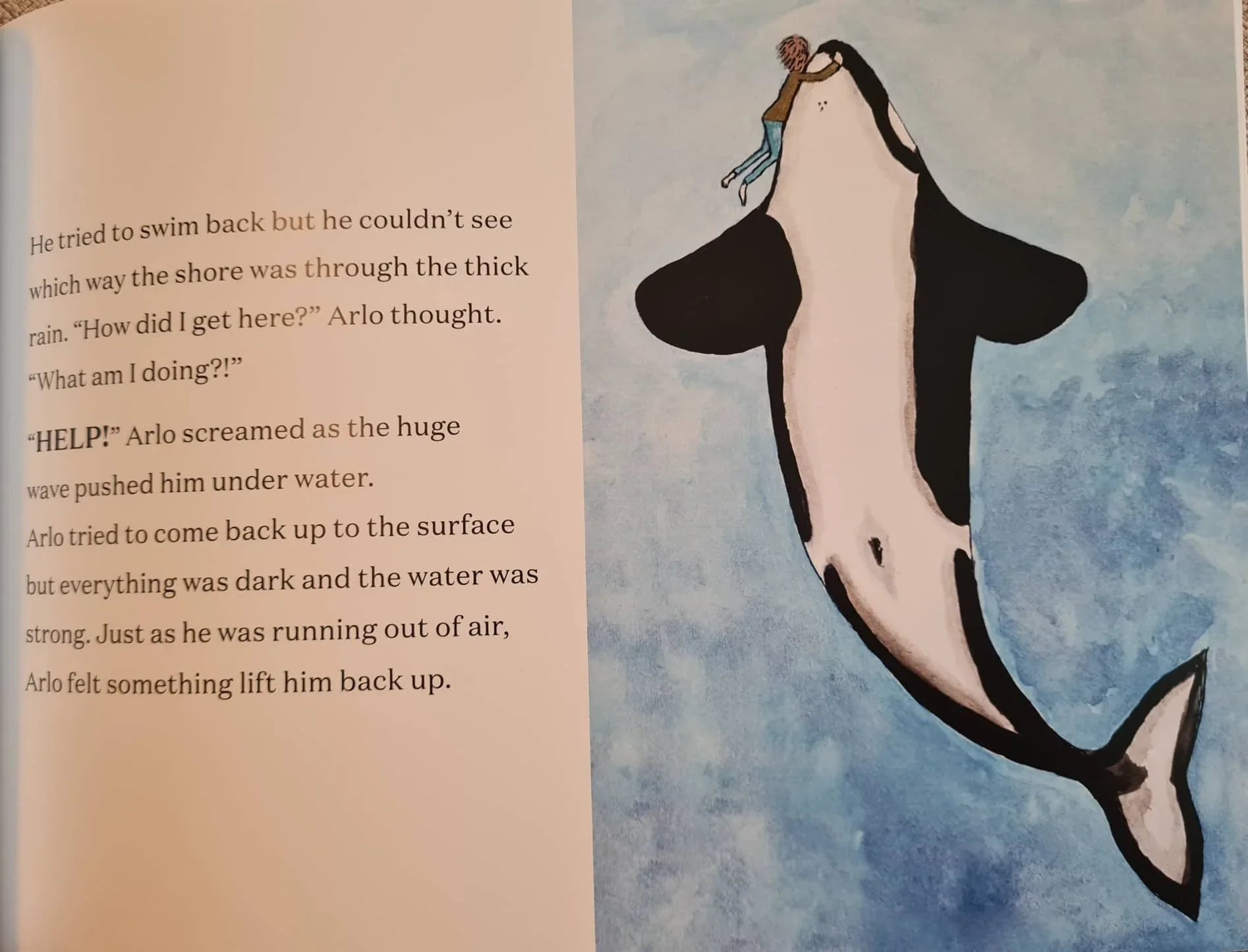 Arlo page 2.webp
