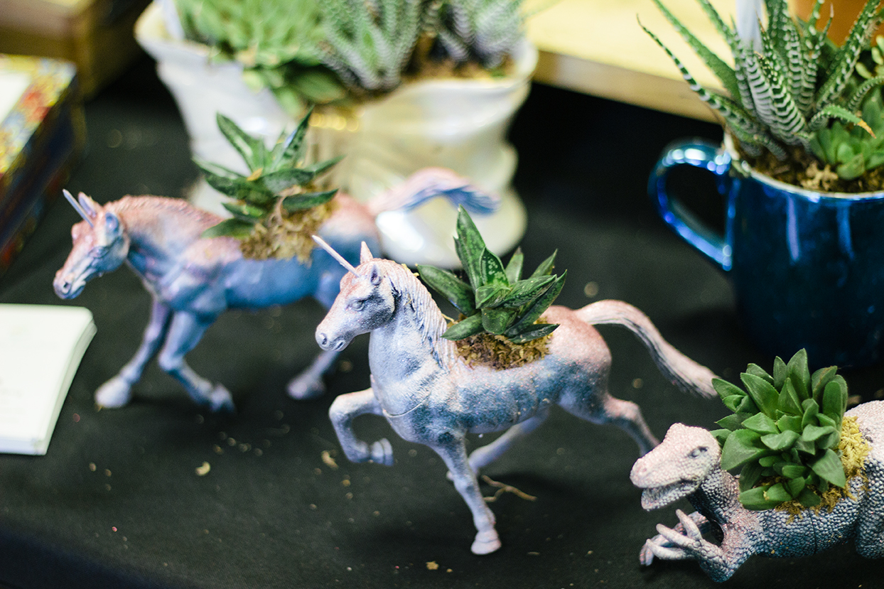 Whimsical succulents by O'Berry's Succulents