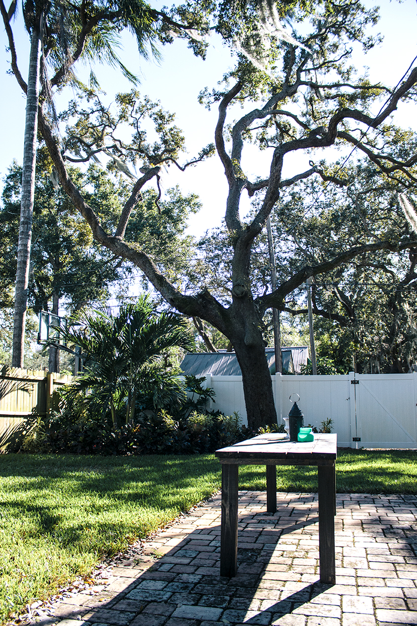 stpete-backyard.jpg