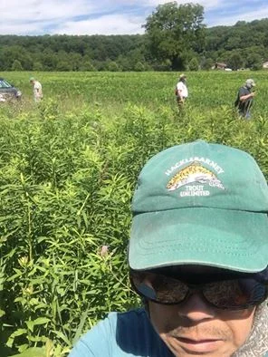 Jon Eng planting trees at the Paulinskill River