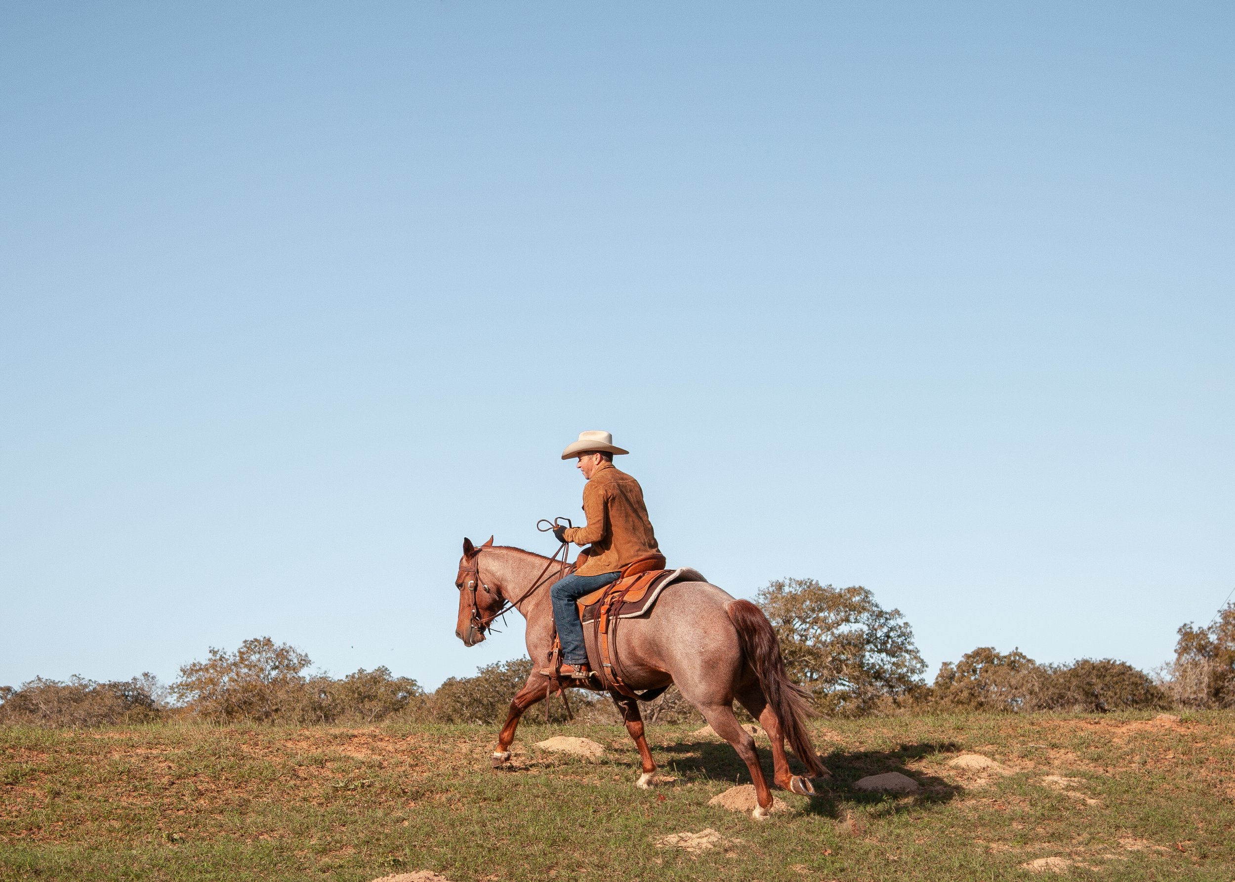  Cowboy Life is Calling, Luling, Texas  (2022) 