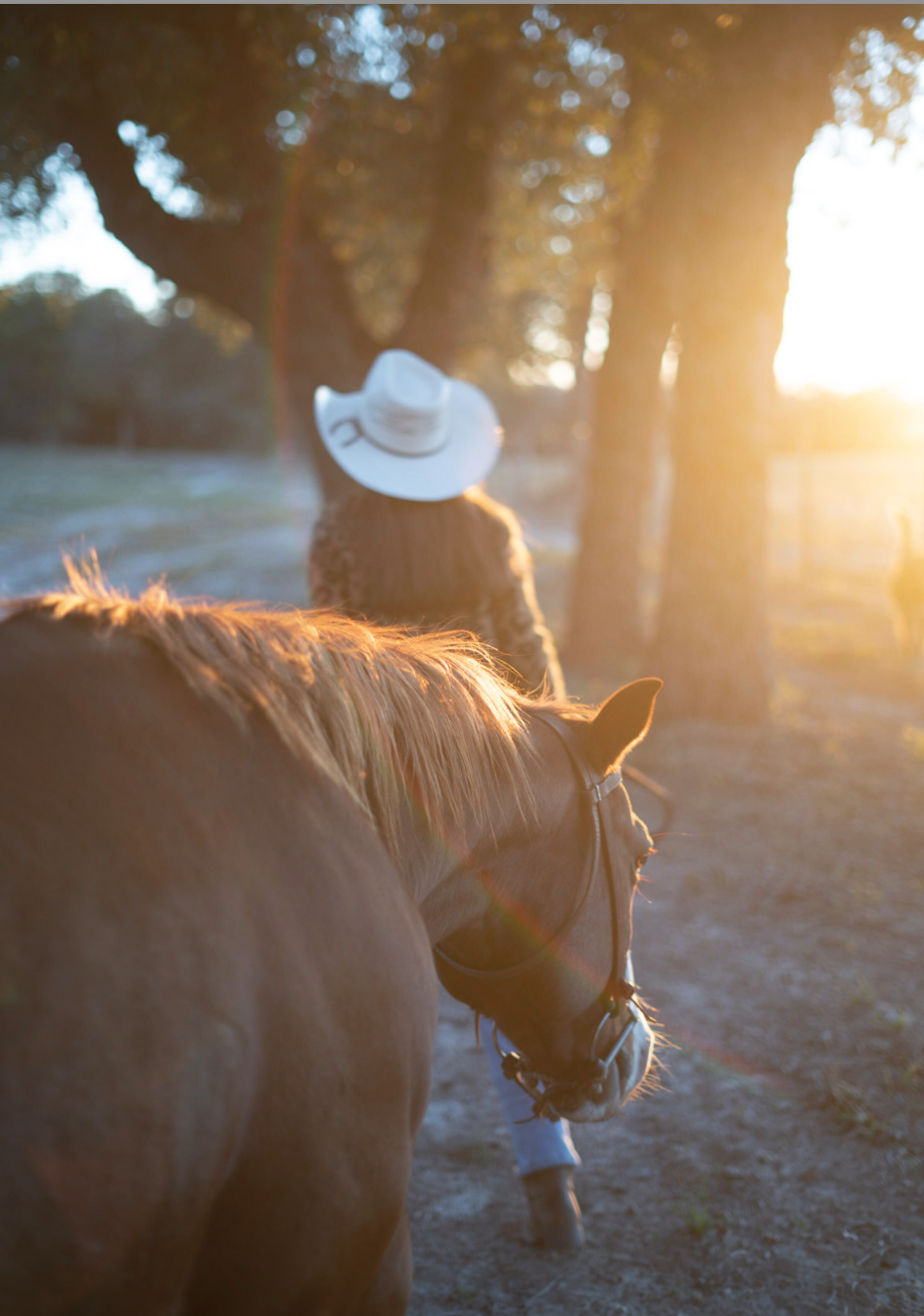  Quarter Horse, Luling, Texas  (2022) 