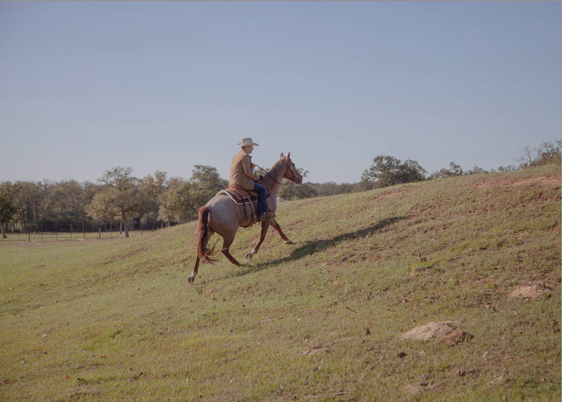  Quarter Horse, Luling, Texas  (2023) 
