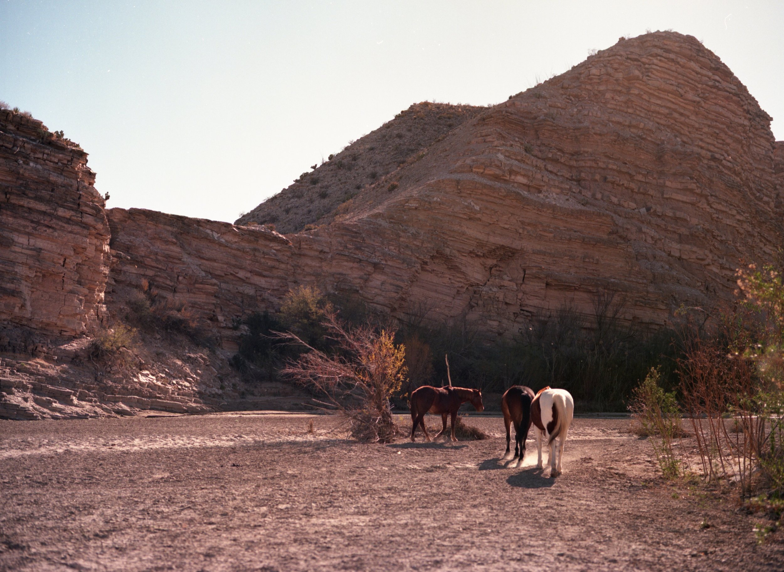  Along the Rio Grande, Texas-Mexico border  (2023) 