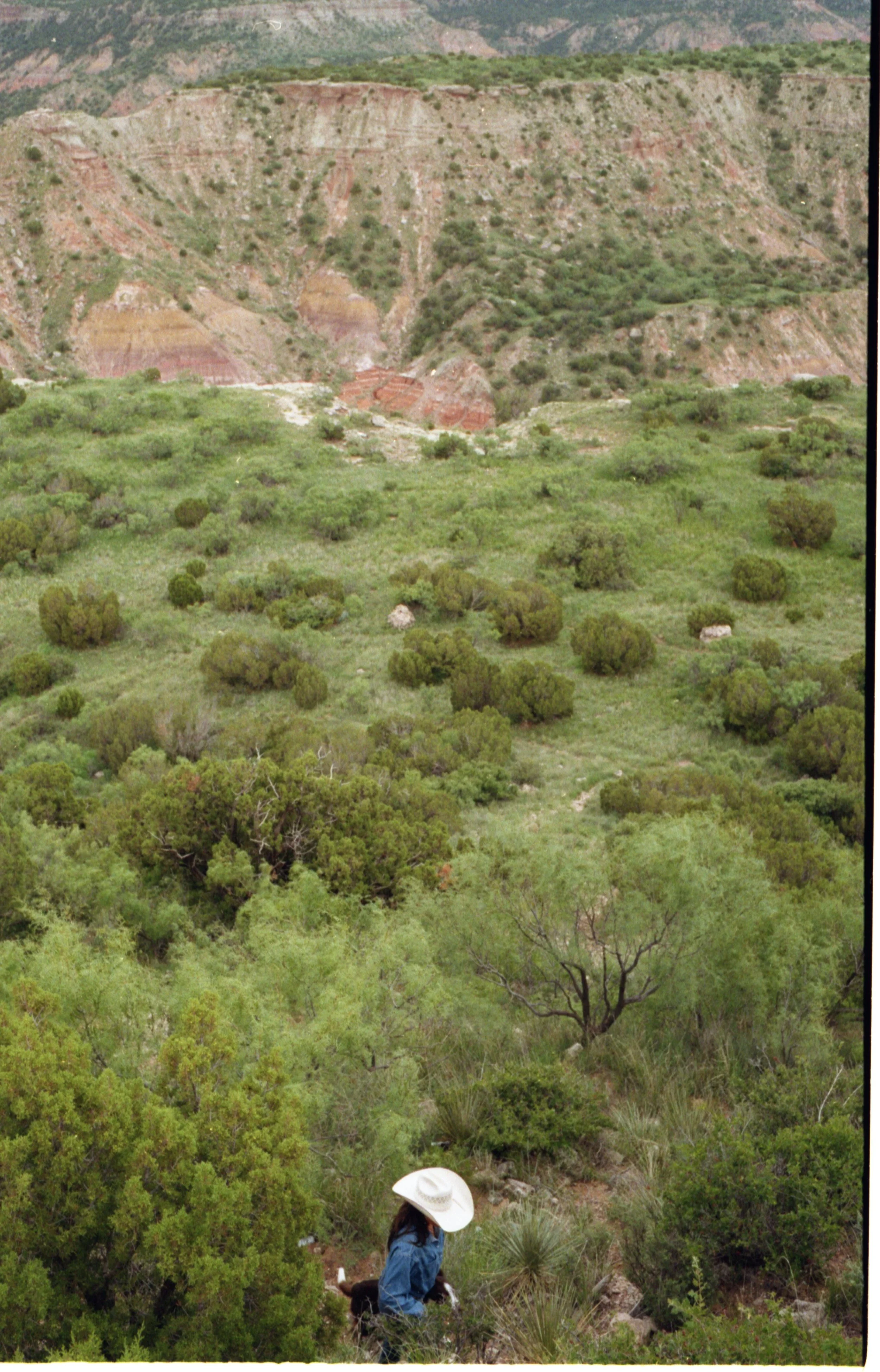  American Hat Co. for American Quarter Horse Association 