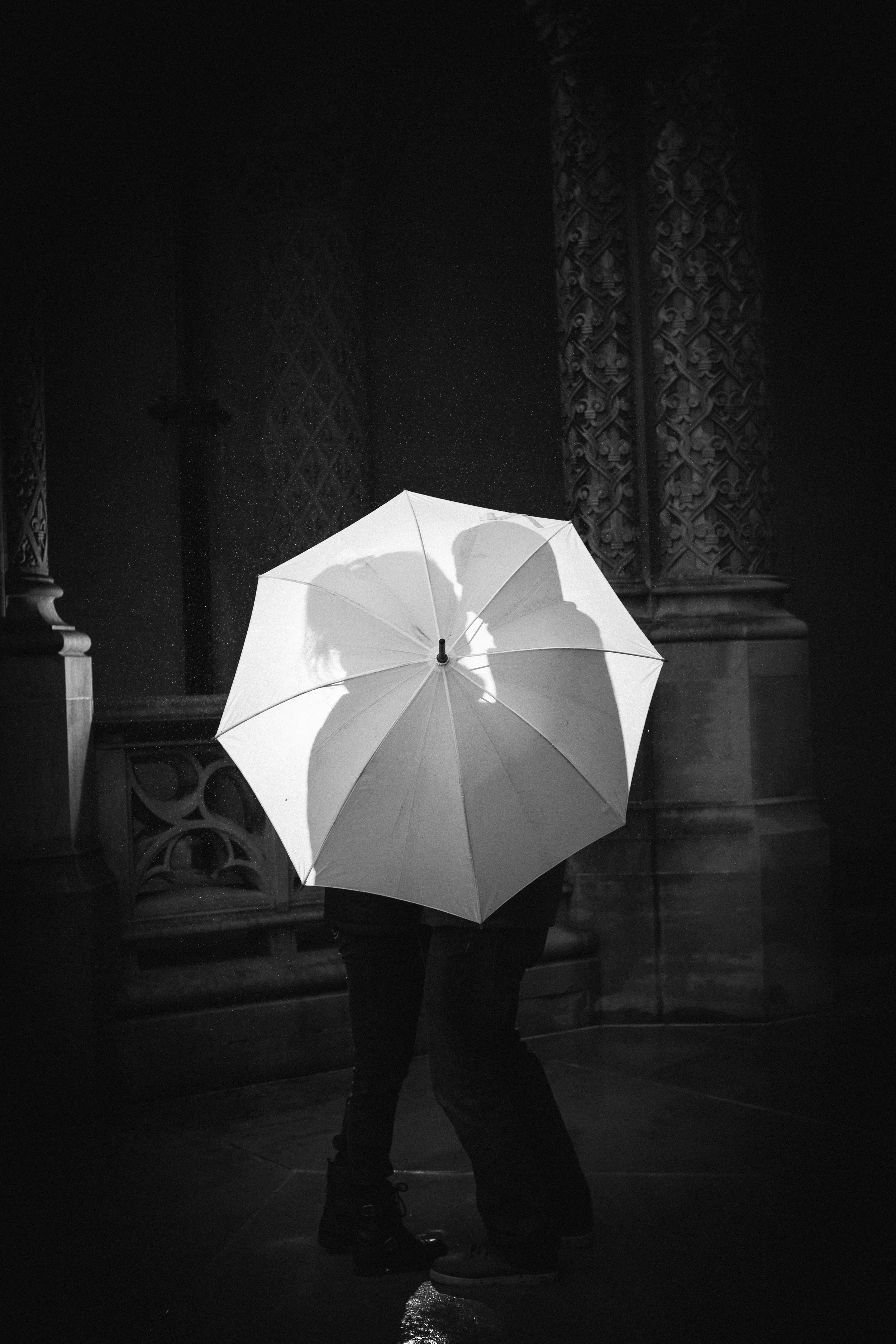 Proposal - Biltmore Estate - Asheville Wedding 12.jpg