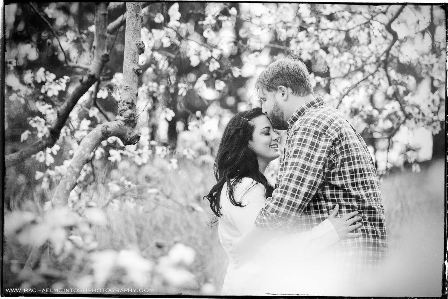 Spring Engagement Session-Asheville Wedding Photographer 2.jpeg