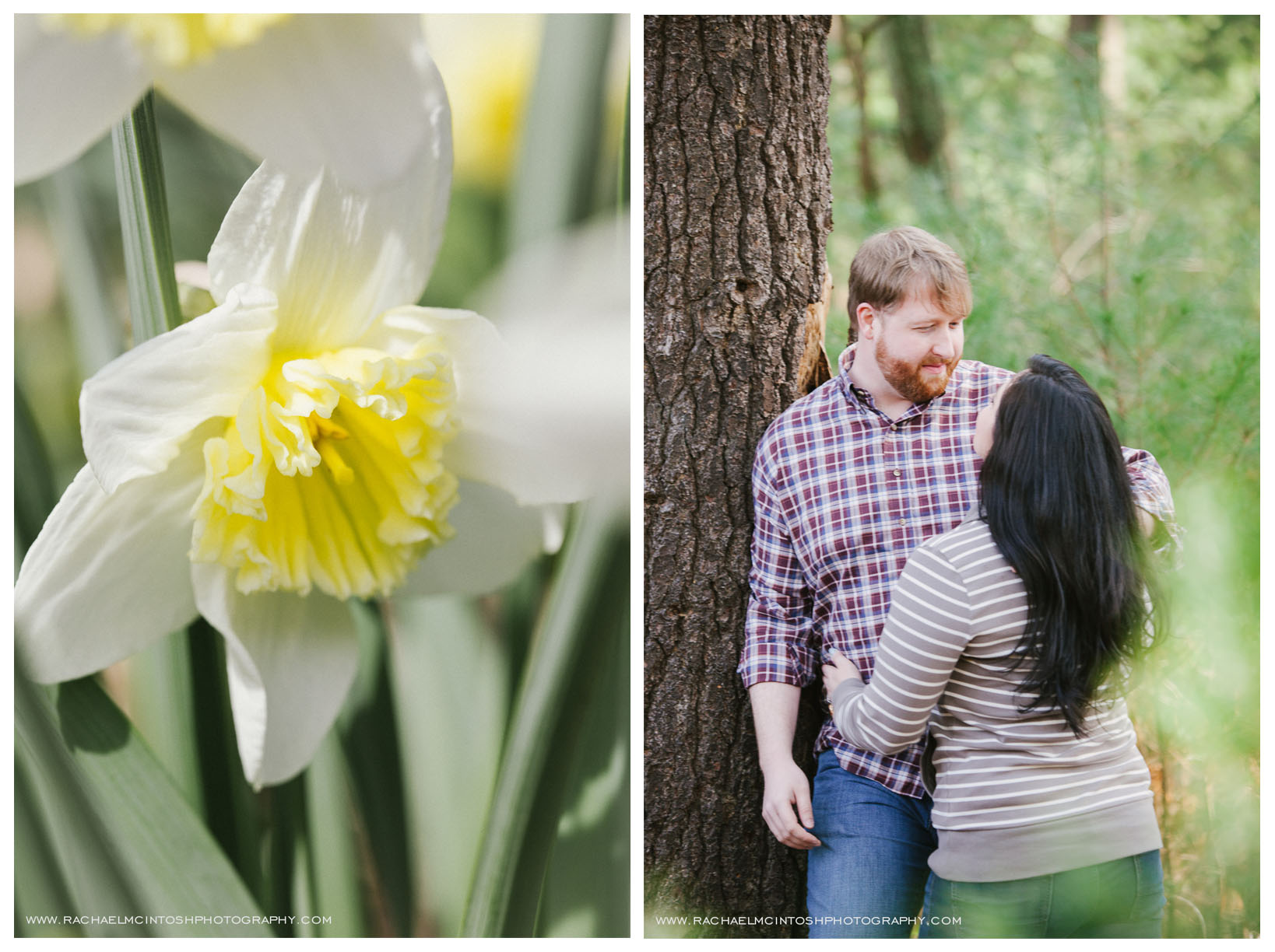 Spring Engagement Session-Asheville Wedding Photographer 6.jpeg