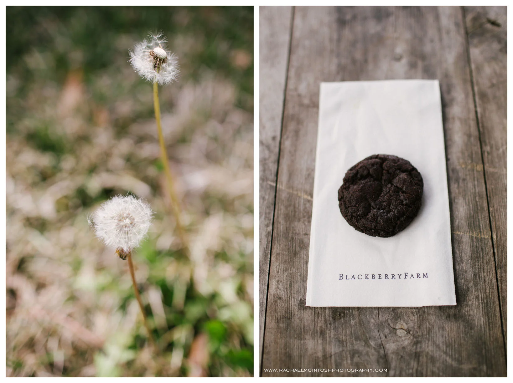 Blackberry Farm - Wedding Venue 77.jpg