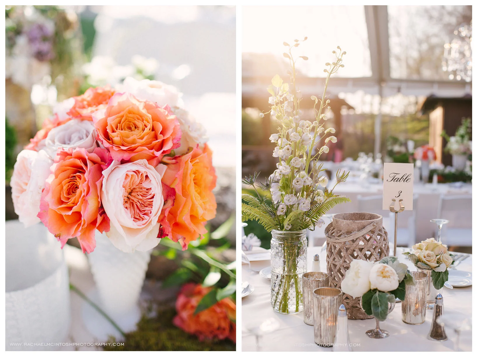 Biltmore Antler Hill Barn Wedding 74.5.jpg