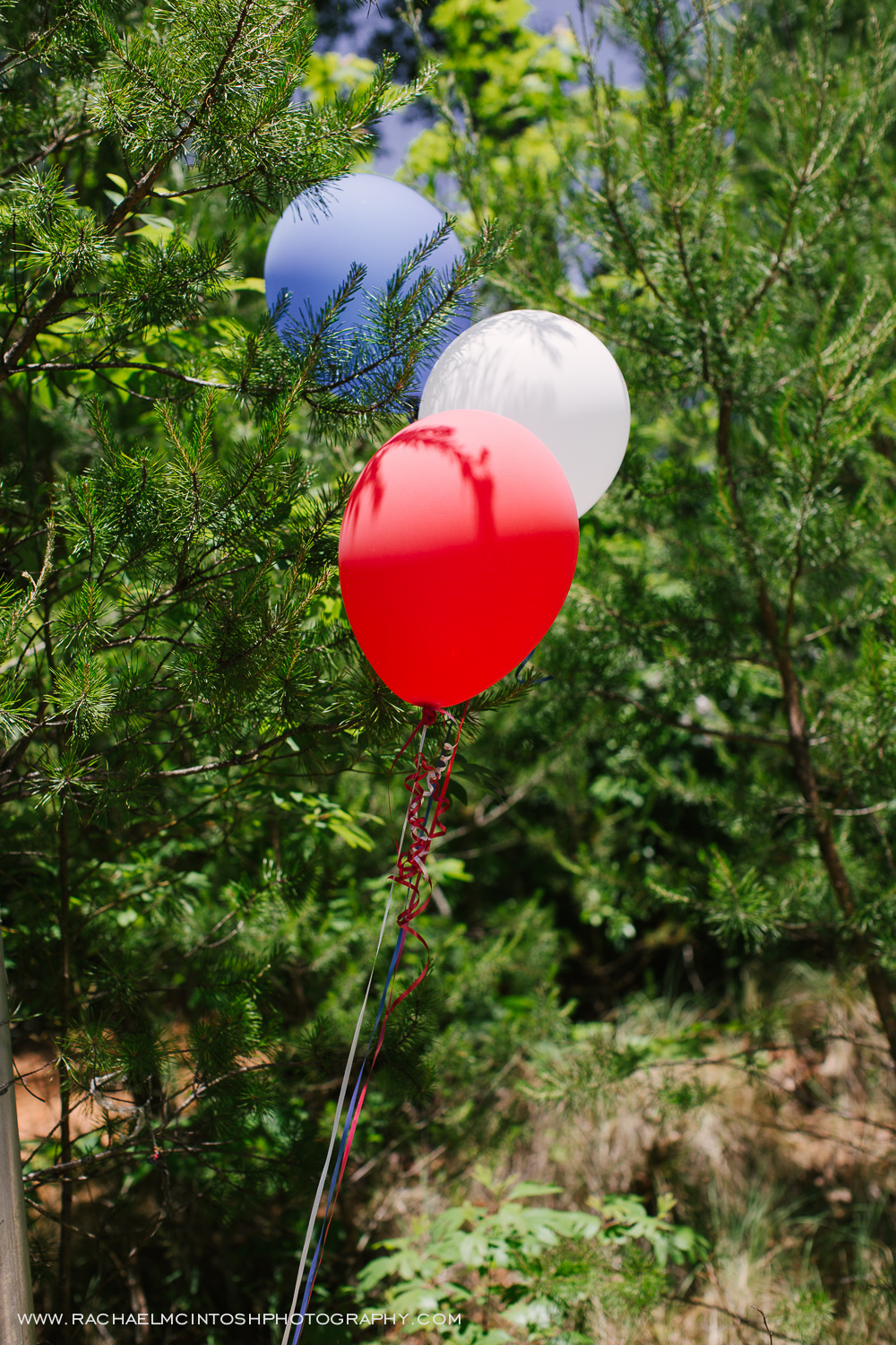 Rivers Ridge Lodge Wedding, Asheville North Carolina-1.jpg