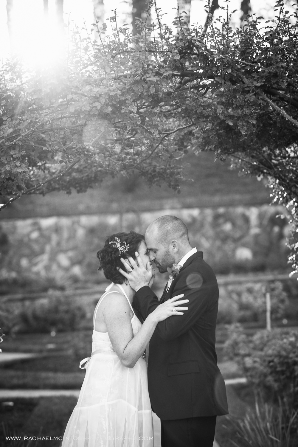 Asheville Wedding Photographer -2014 in review-21.jpg
