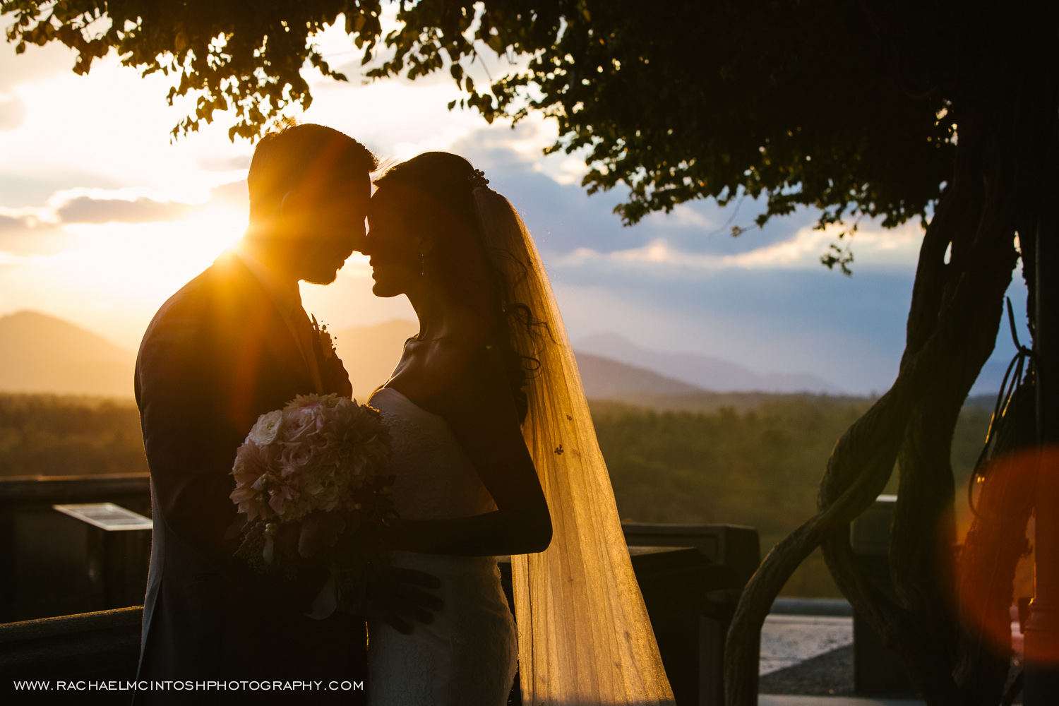 Asheville Wedding Photographer -2014 in review-64.jpg
