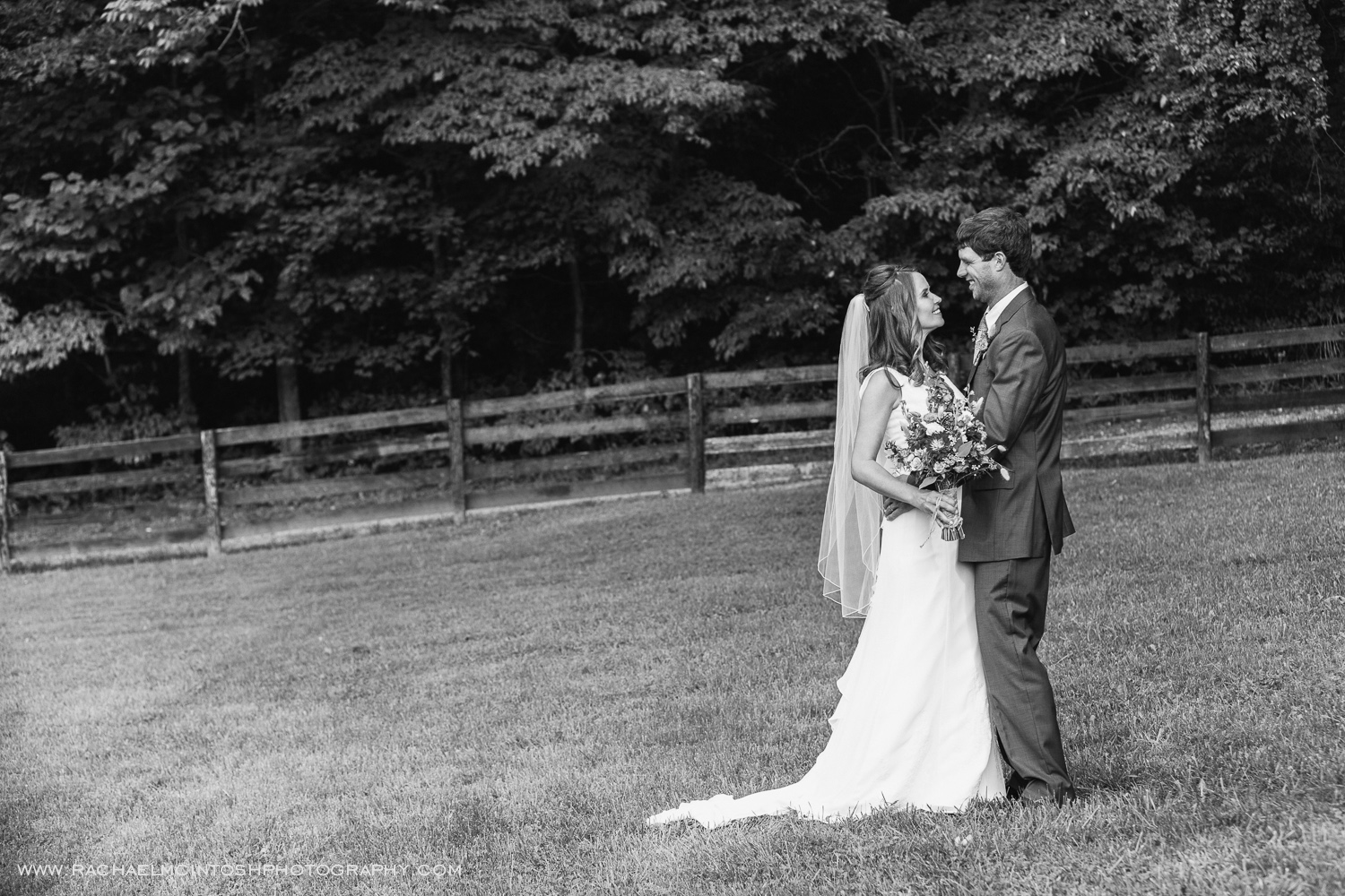 Asheville-Wedding-Blackberry-Fields-Rachael-McIntosh-Photography-87.jpg