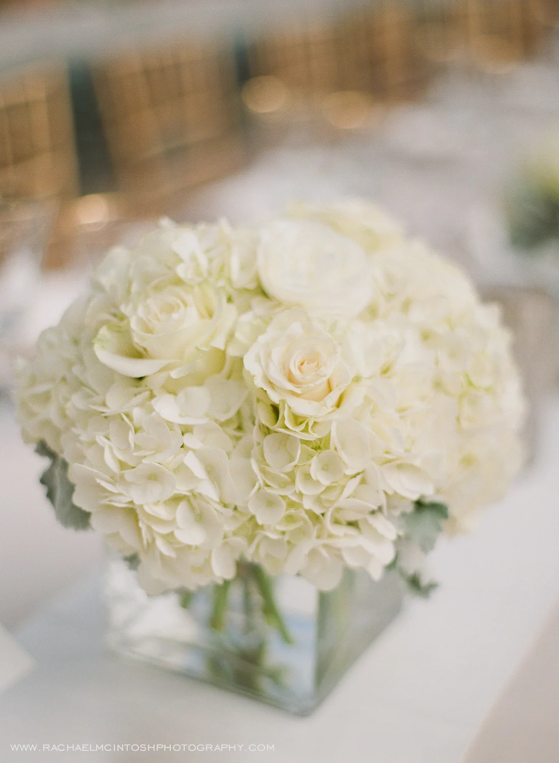 Biltmore-Wedding-Photographer-Asheville-210.jpg