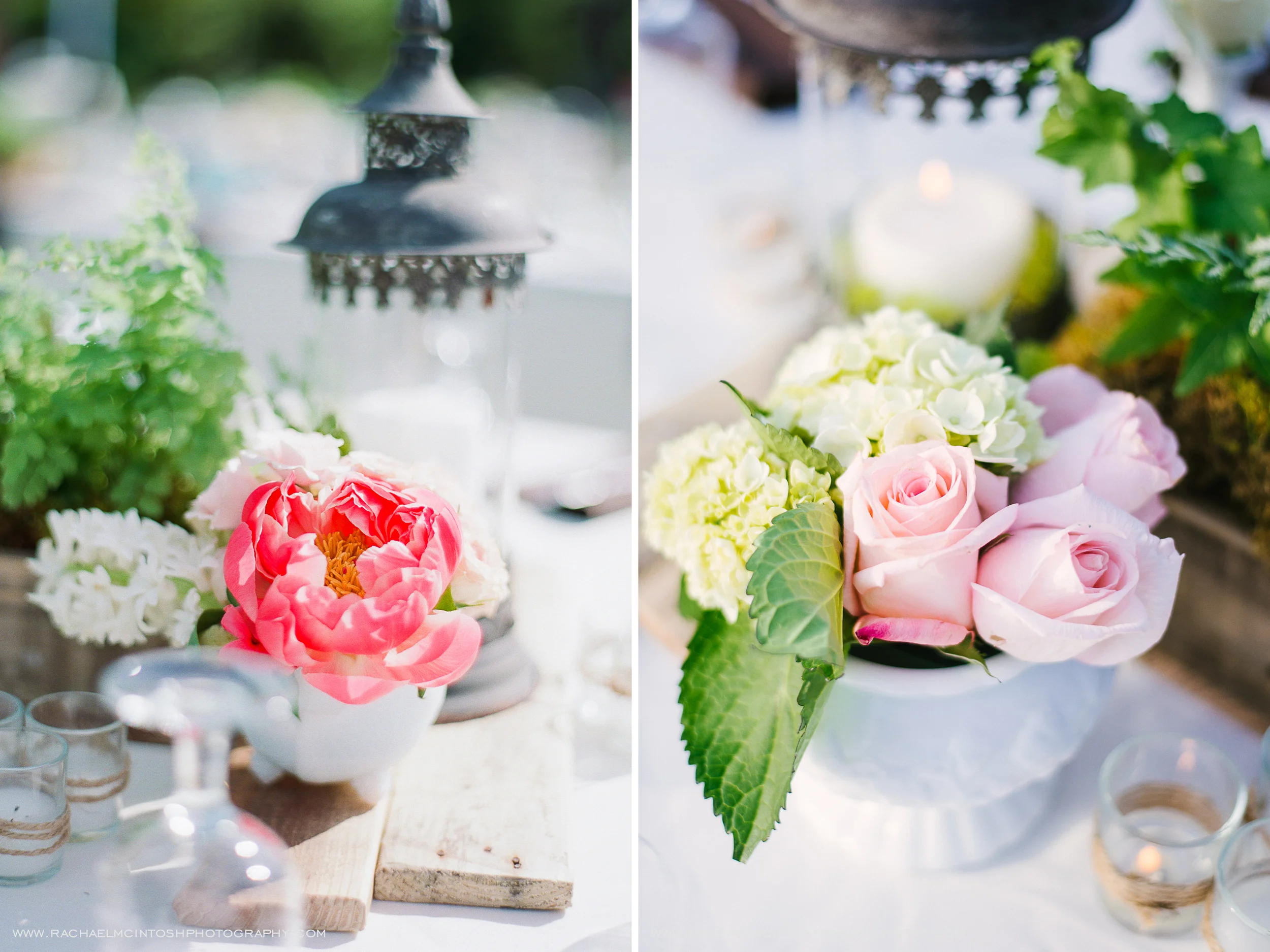 NC-Arboretum-Wedding-Asheville-69.jpg