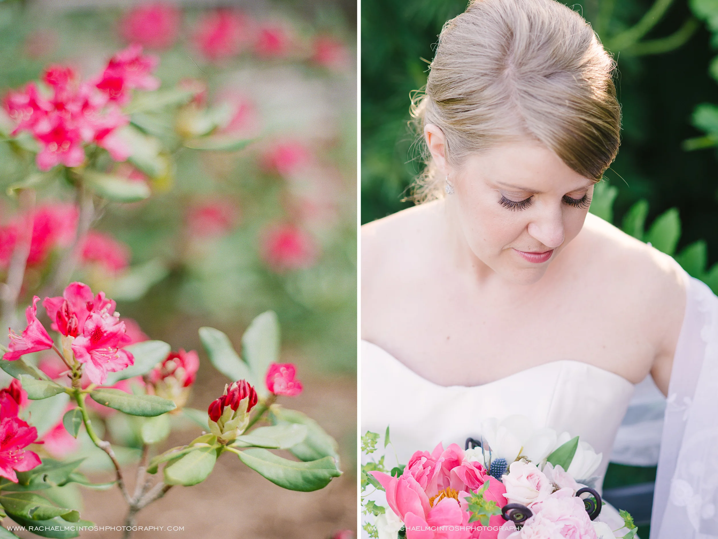 NC-Arboretum-Wedding-Asheville-70.jpg