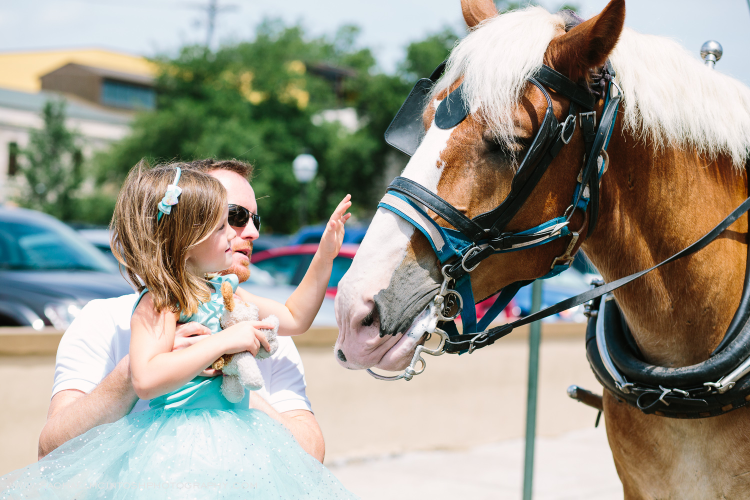 charleston-trip-family-photographer-7.jpg