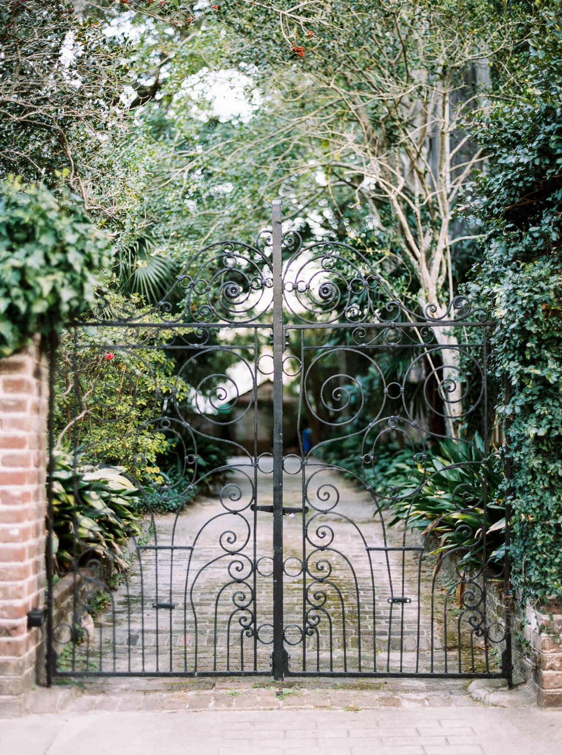 Charleston-SC-Destination-wedding-photographer-19.jpg