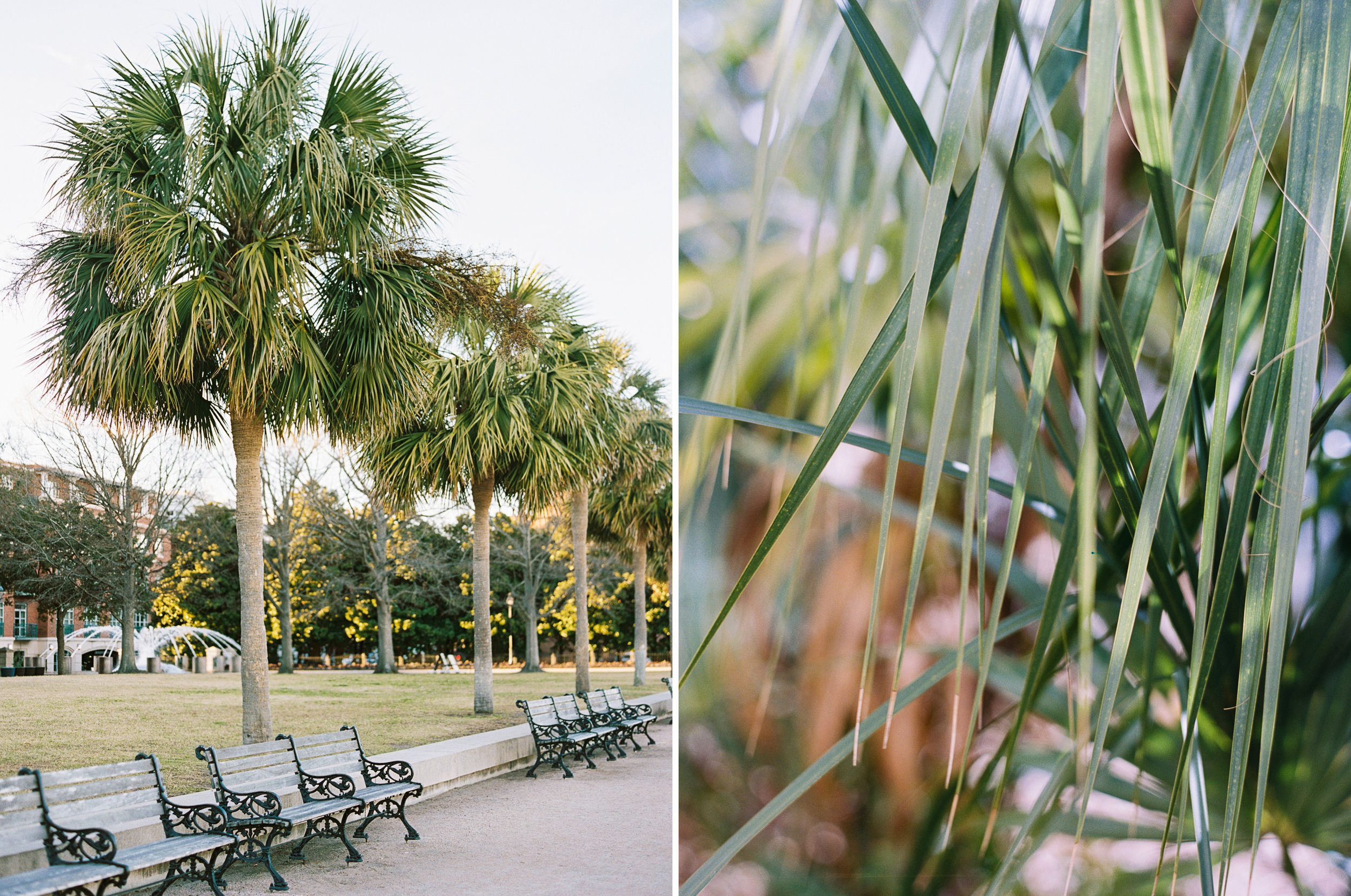 Charleston-SC-Destination-wedding-photographer-51.jpg