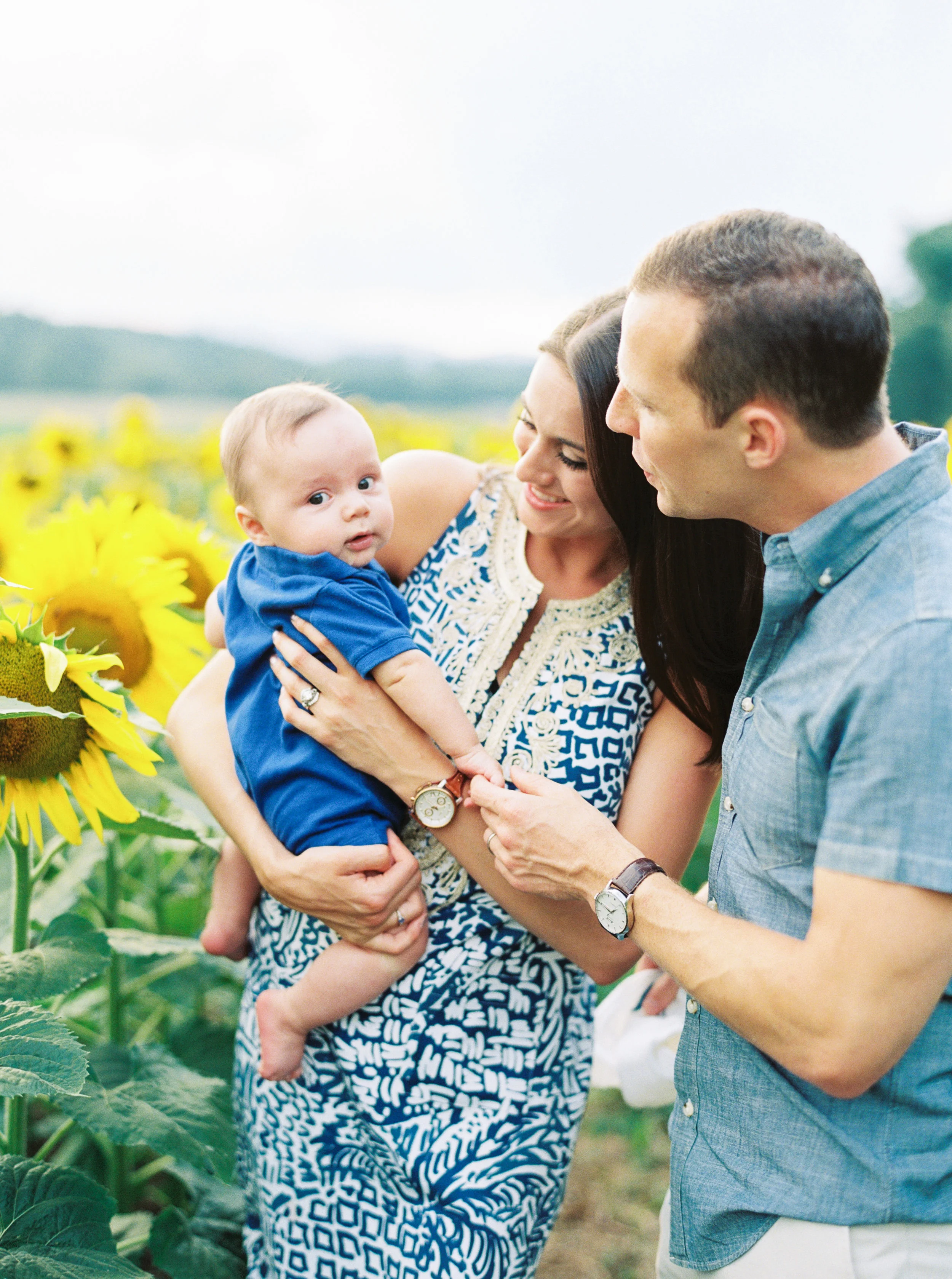 Sunflowers-67.jpg